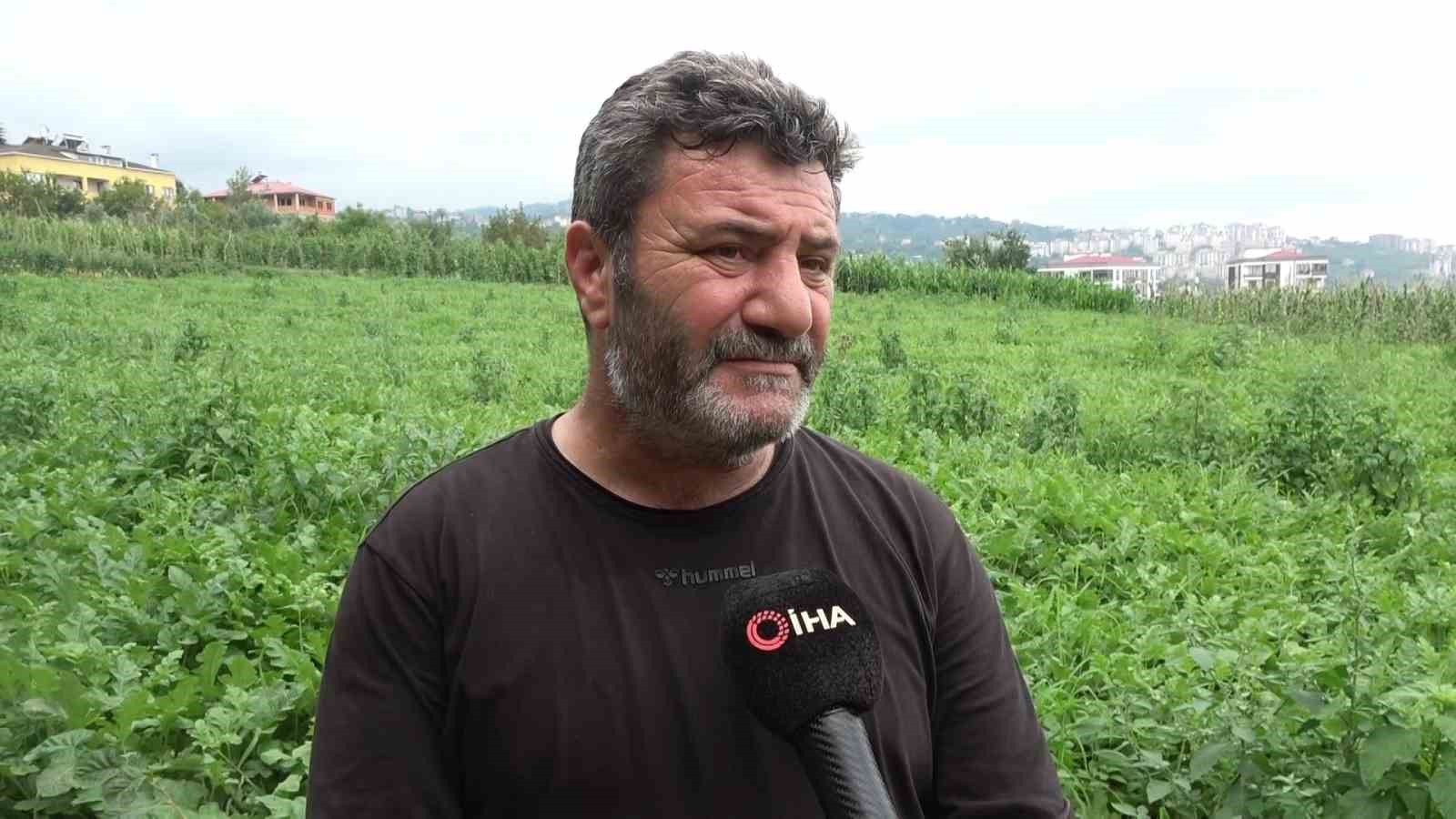 Yalıncak karpuzu tehlike altında