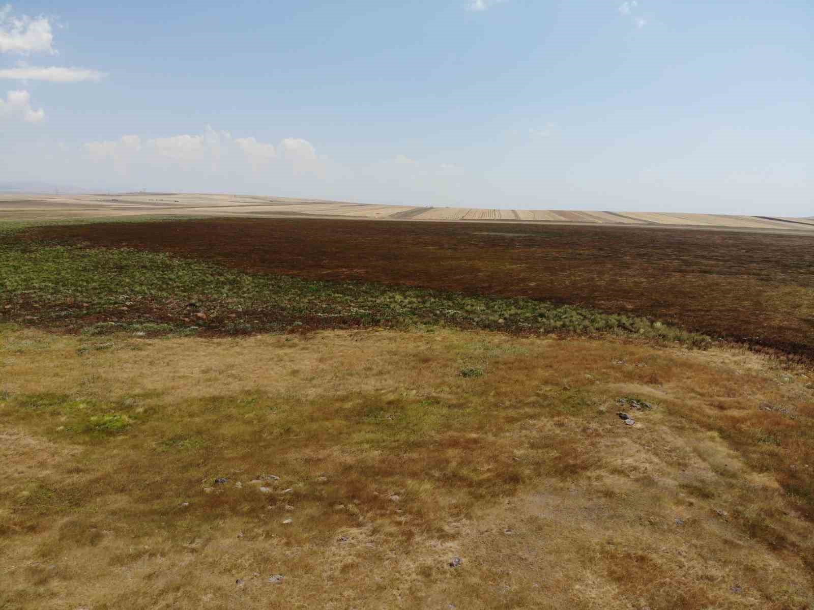 Doğu Anadolu’nun ilk Ramsar alanıydı