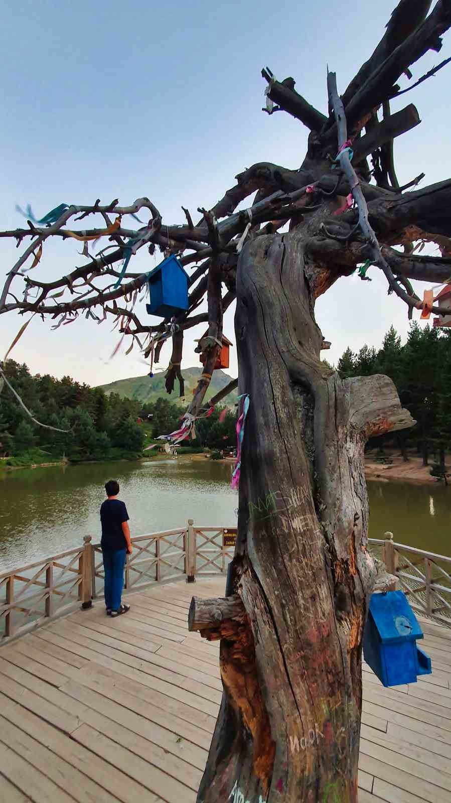 Zigana Dağının serin sığınağı Limni G&ouml;l&uuml; yoğun ilgi g&ouml;r&uuml;yor
