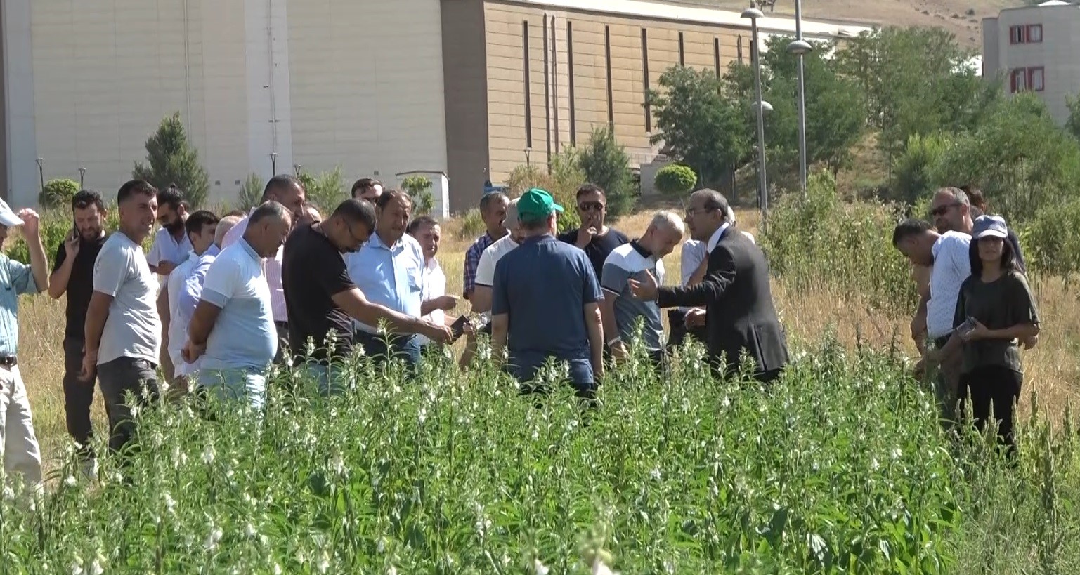 Muş’ta tıbbi ve aromatik bitkiler tanıtıldı
