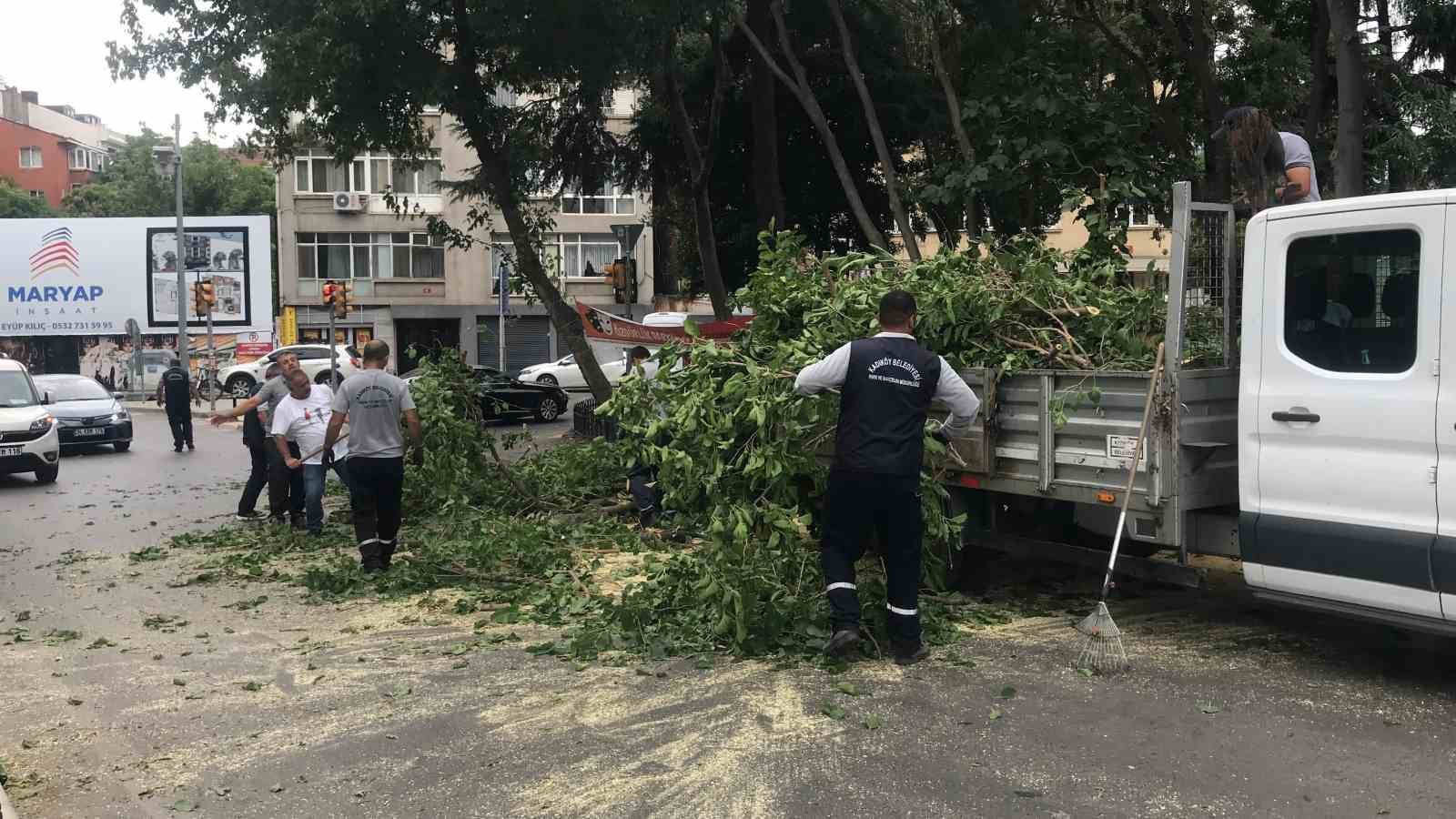 Kadık&ouml;y&rsquo;de şiddetli r&uuml;zg&acirc;r ağacı devirdi
