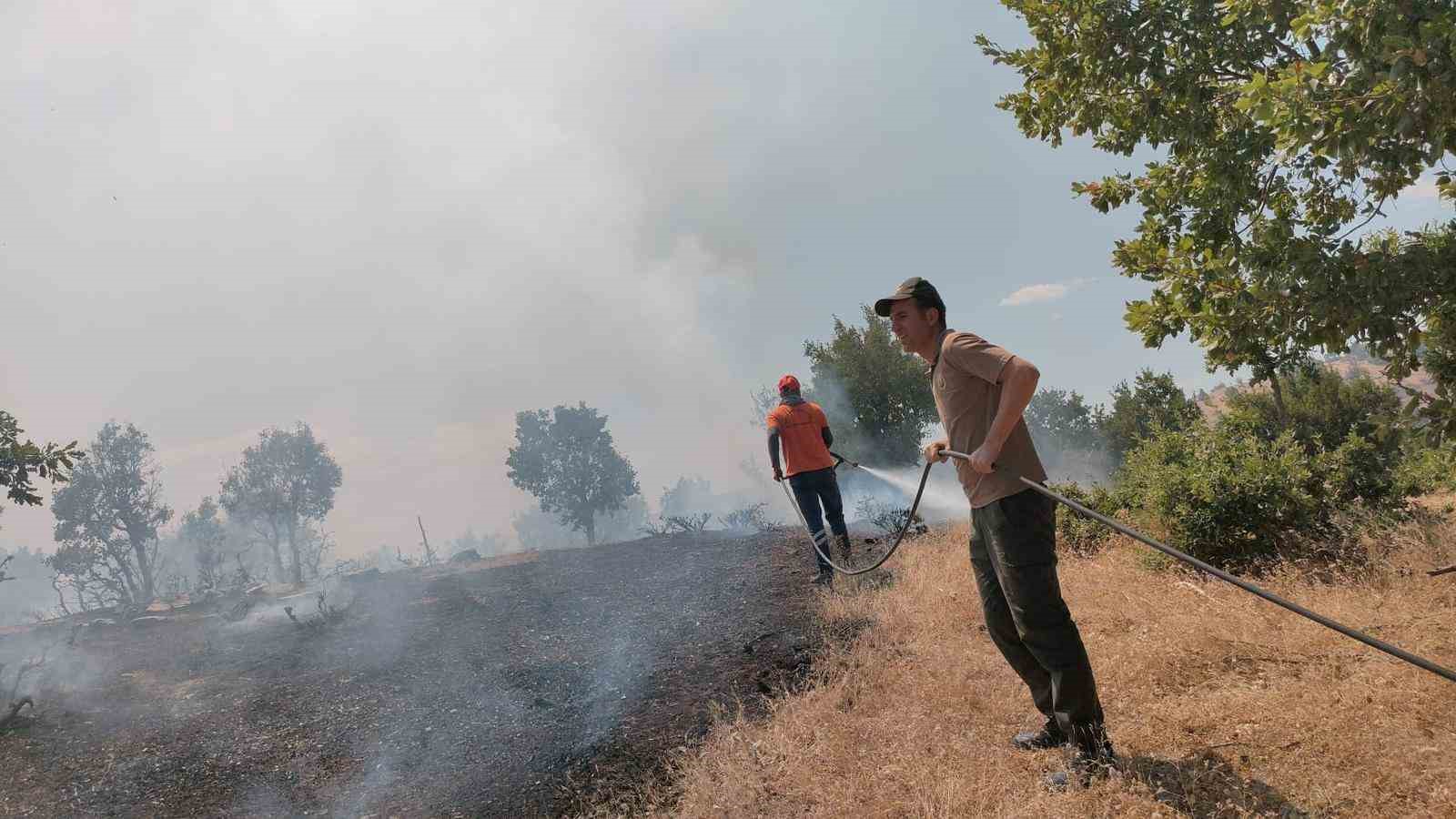 Bingöl’de 5 farklı noktada çıkan yangın kontrol altına alındı