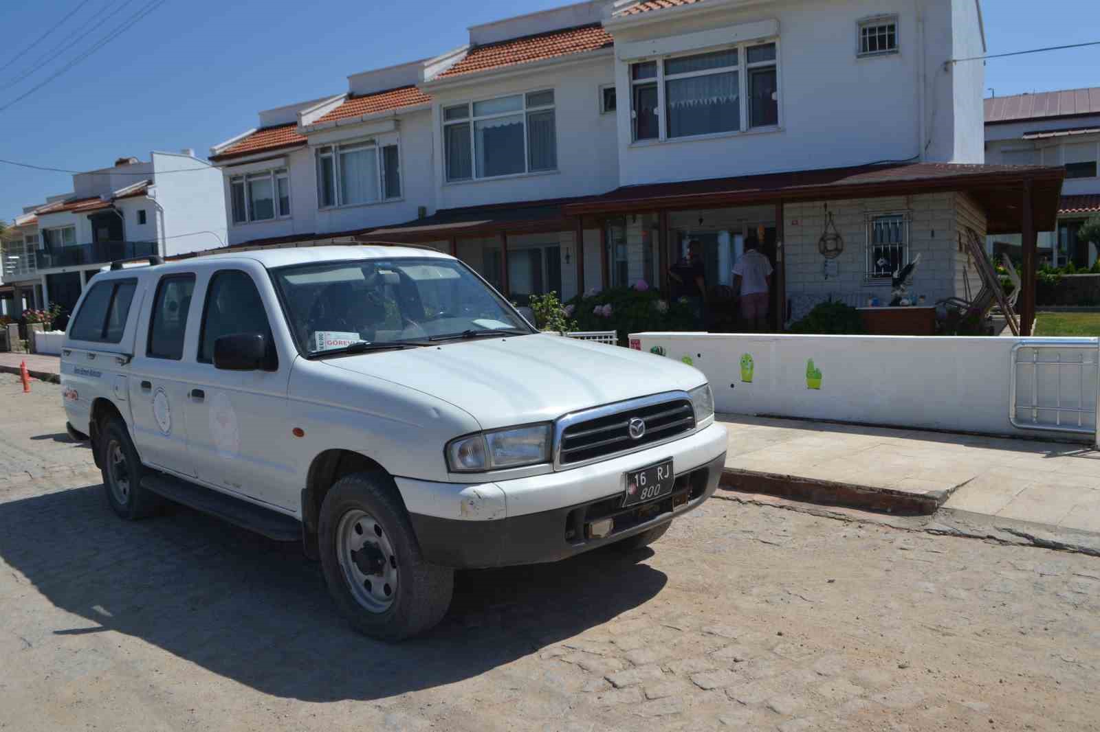 (&Ouml;zel) Ayvalık&rsquo;ta d&uuml;nyanın en zehirli &ouml;r&uuml;mcek t&uuml;rlerinden birisi yakalandı
