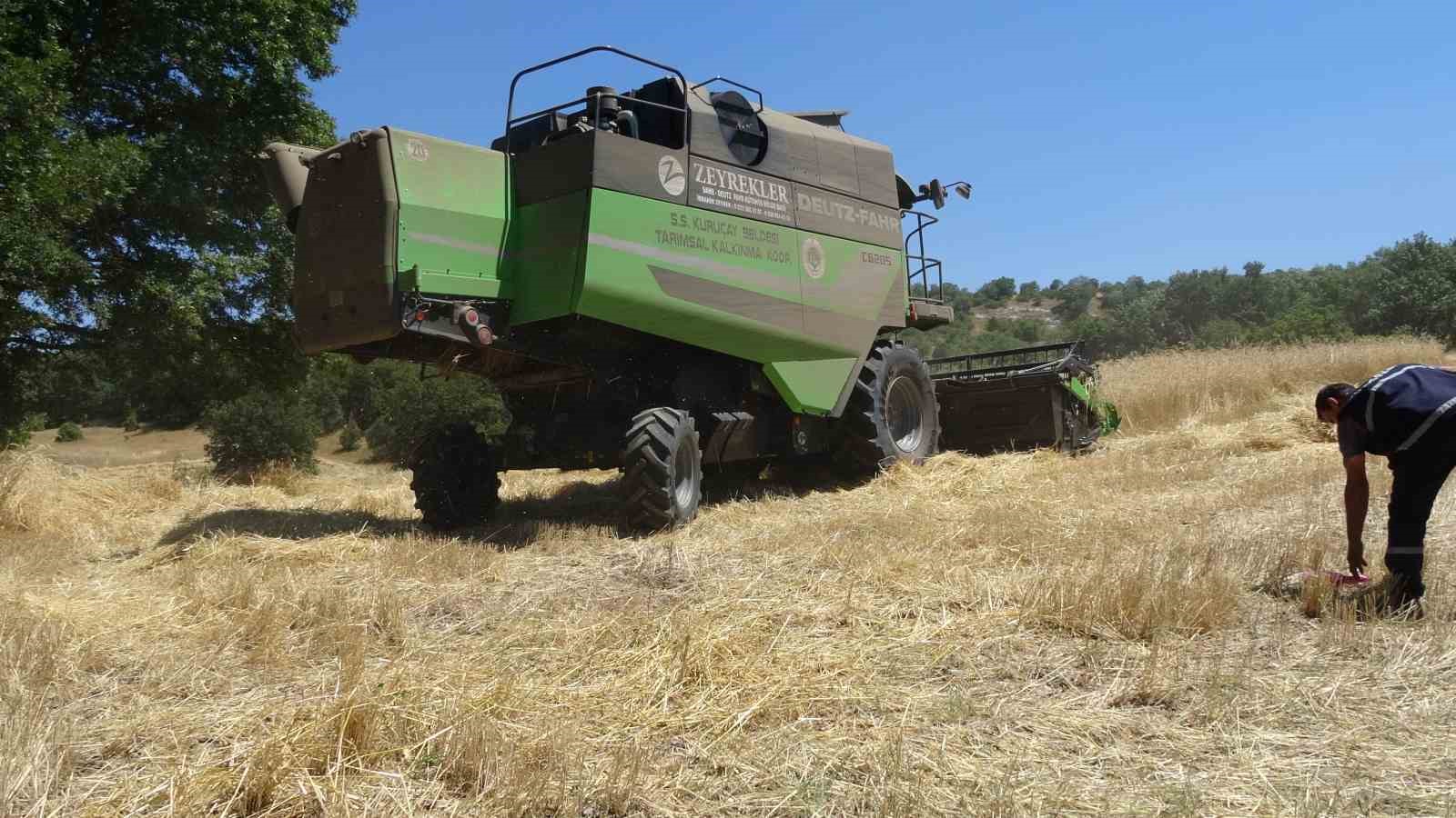 Tavşanlı&rsquo;nın Kuru&ccedil;ay beldesinde &rsquo;Harman kaldırma&rsquo; etkinliği
