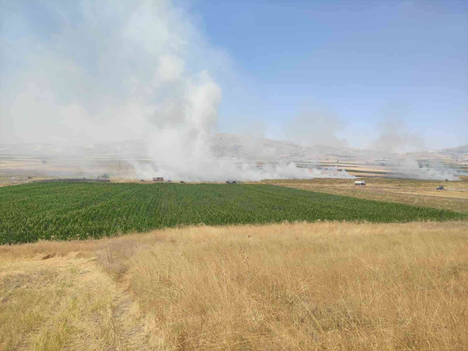 Burdur’da çıkan yangında 100 dönümlük tarım arazisi kül oldu