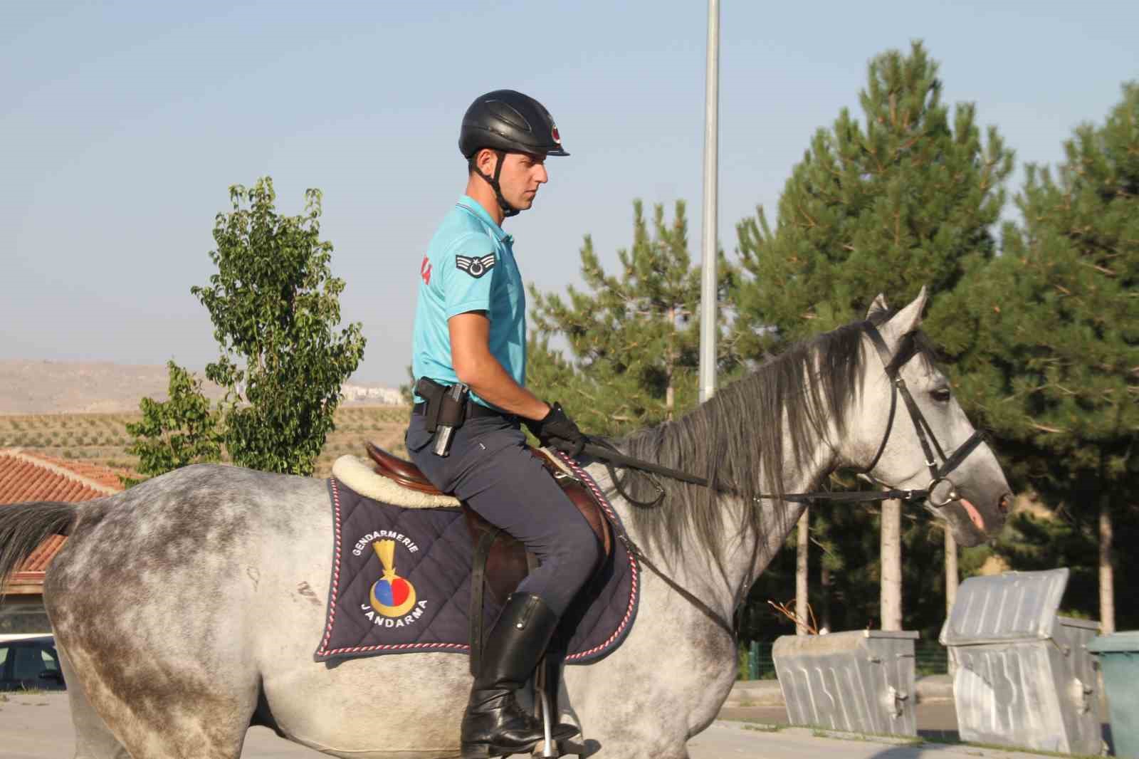 Piknik alanları &lsquo;Atlı Jandarma Timlerine&rsquo; emanet
