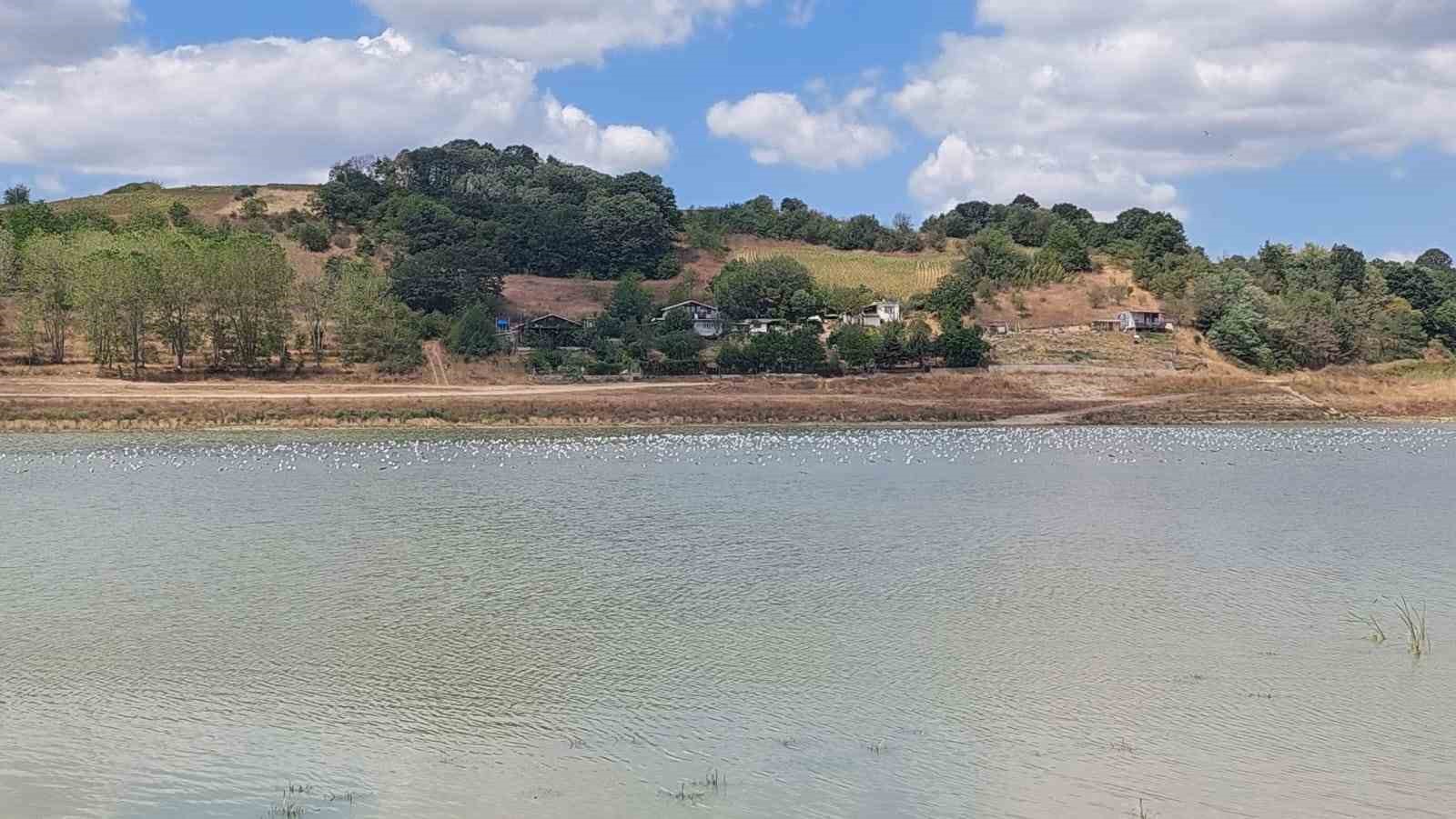 Tekirdağ&rsquo;da g&ouml;let ve barajlar endişelendirici seviyeye indi
