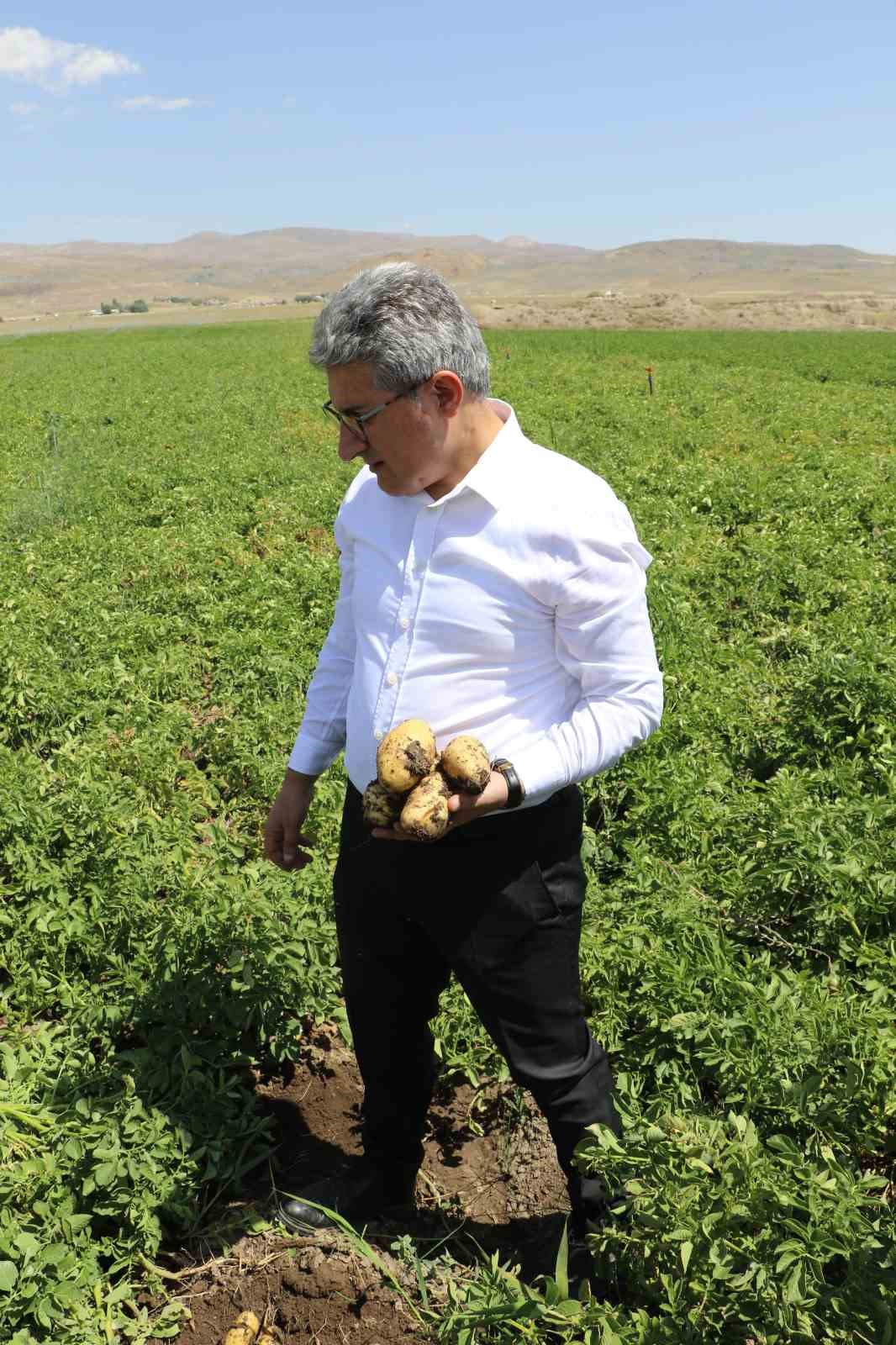Ağrı&rsquo;da patates &uuml;reticilerine destek
