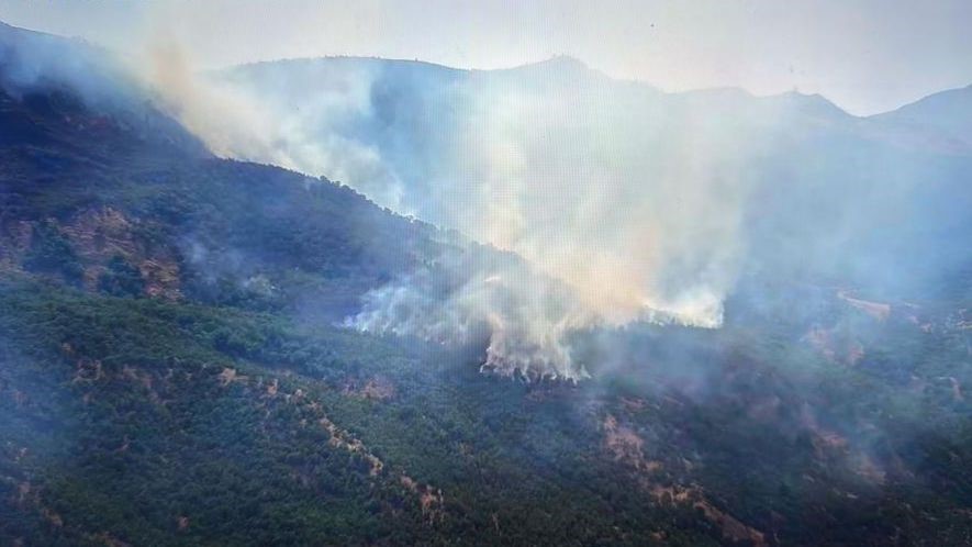 Siirt’teki orman yangını 52 saatin sonunda söndürüldü