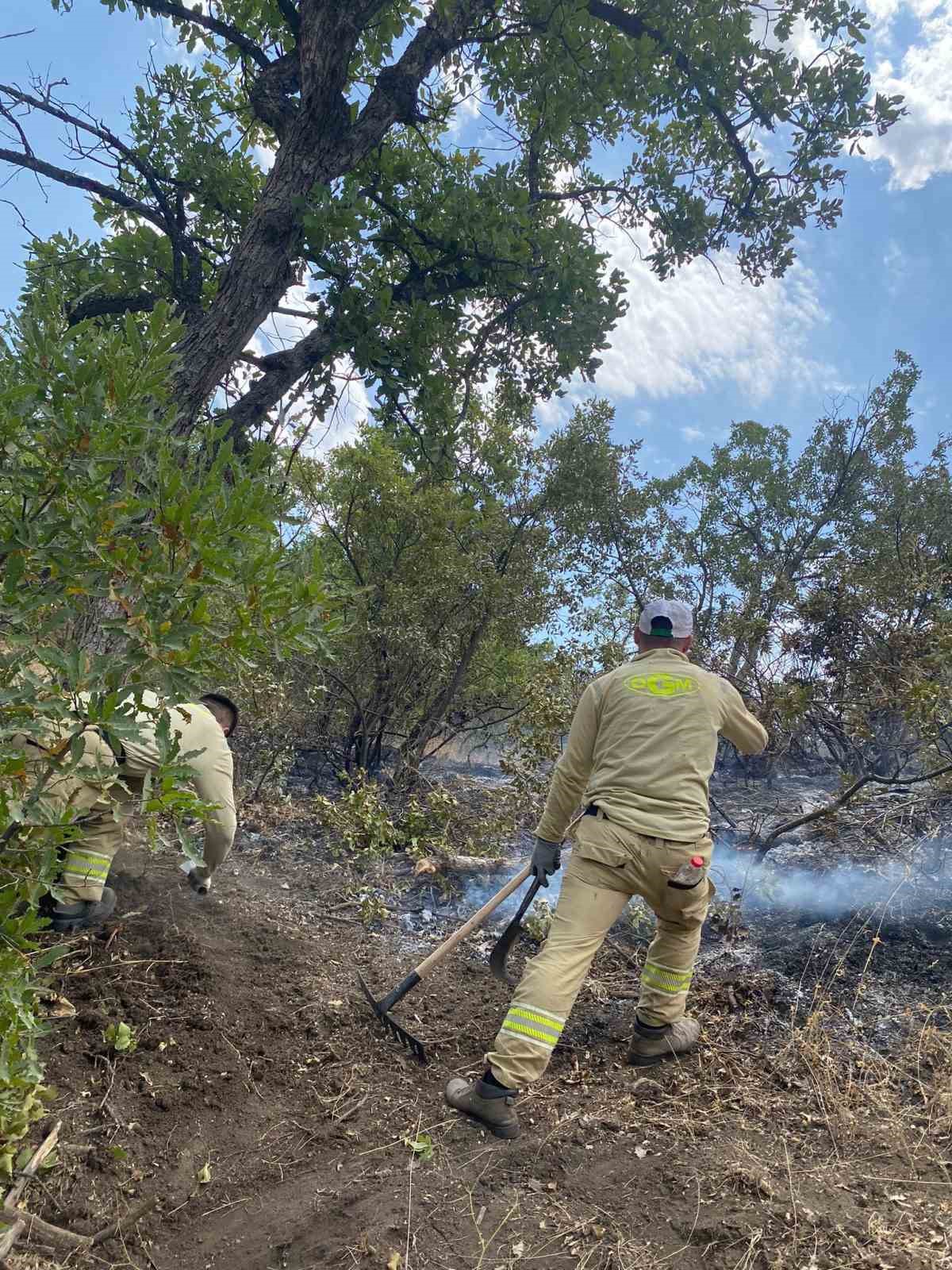 Siirt’teki orman yangını 52 saatin sonunda söndürüldü 