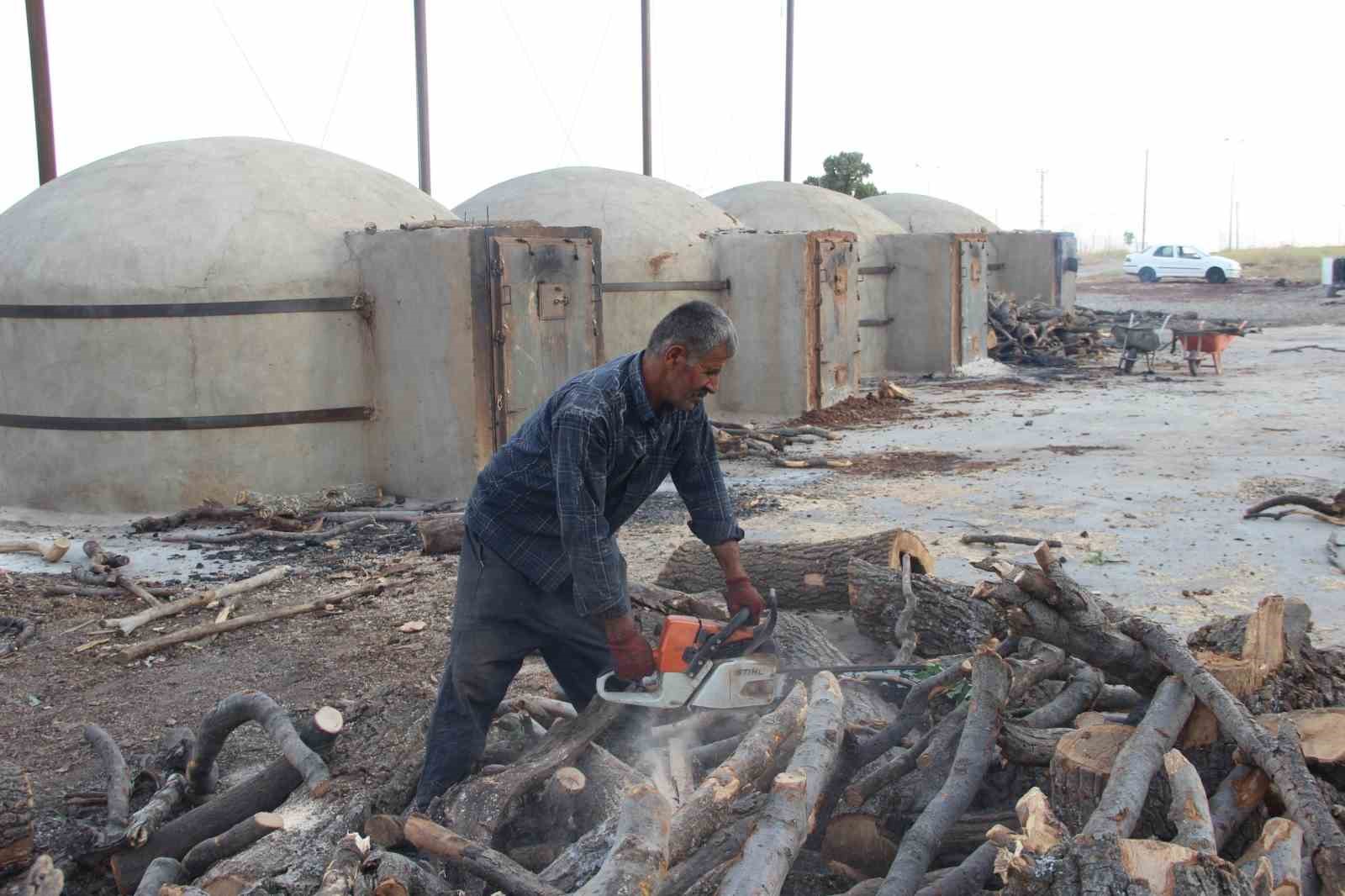 Cizre&rsquo;de 300 derecelik fırınlarda meşe ağacından mangal k&ouml;m&uuml;r&uuml; &uuml;retiyorlar
