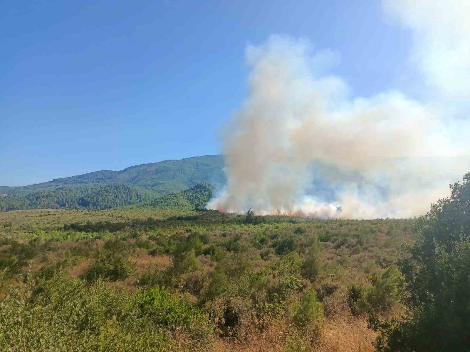 Burdur’da orman yangını havadan ve karadan müdahale ile kontrol altına alındı.