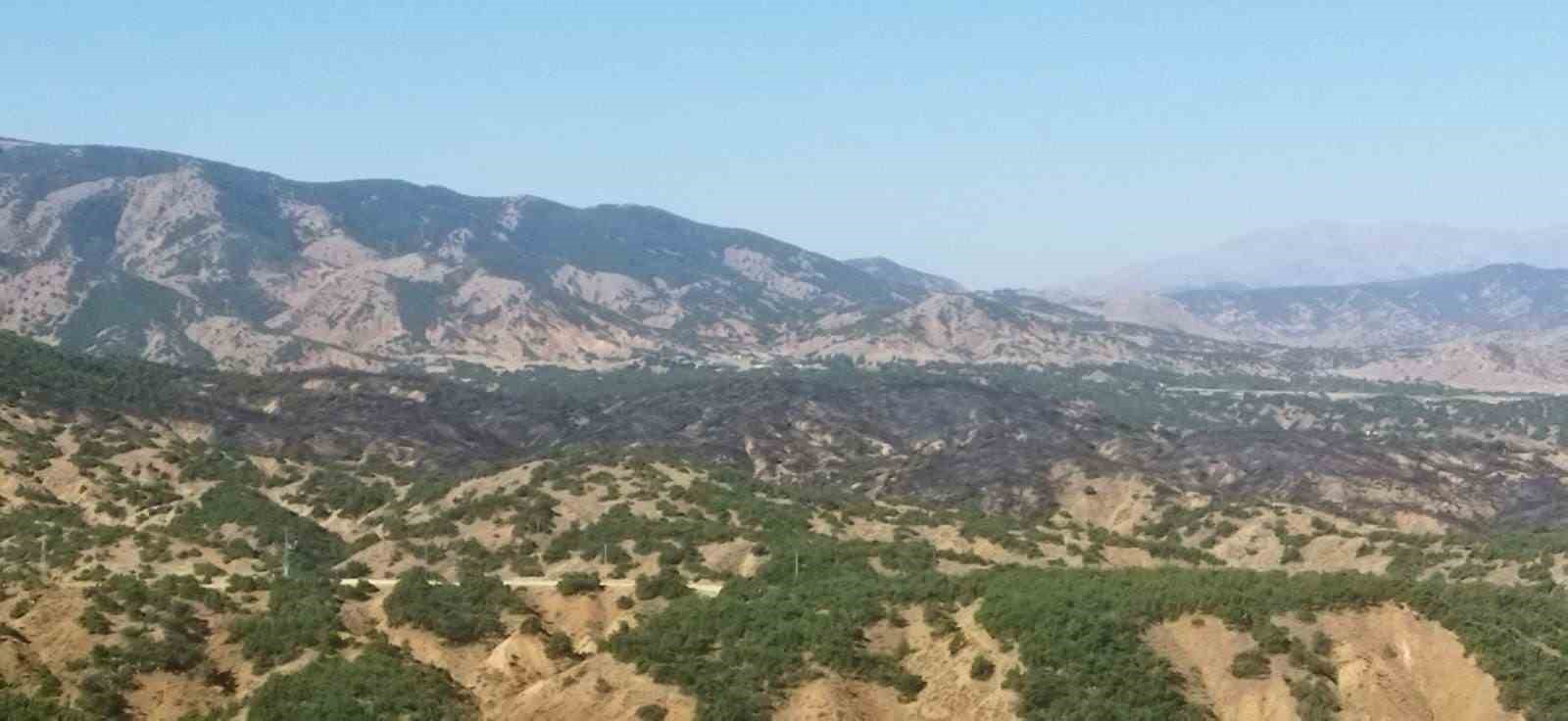 Bing&ouml;l&rsquo;deki orman yangını kontrol altına alındı, soğutma &ccedil;alışmaları yapılıyor
