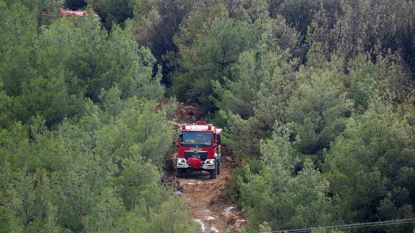 &Ccedil;anakkale&rsquo;deki orman yangını kontrol altına alındı
