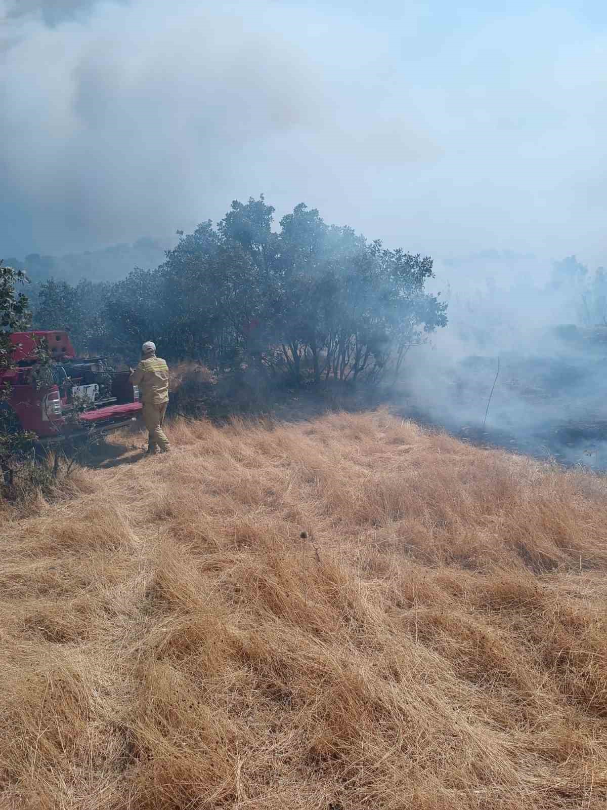 Mardin’de iki farklı noktada örtü yangını