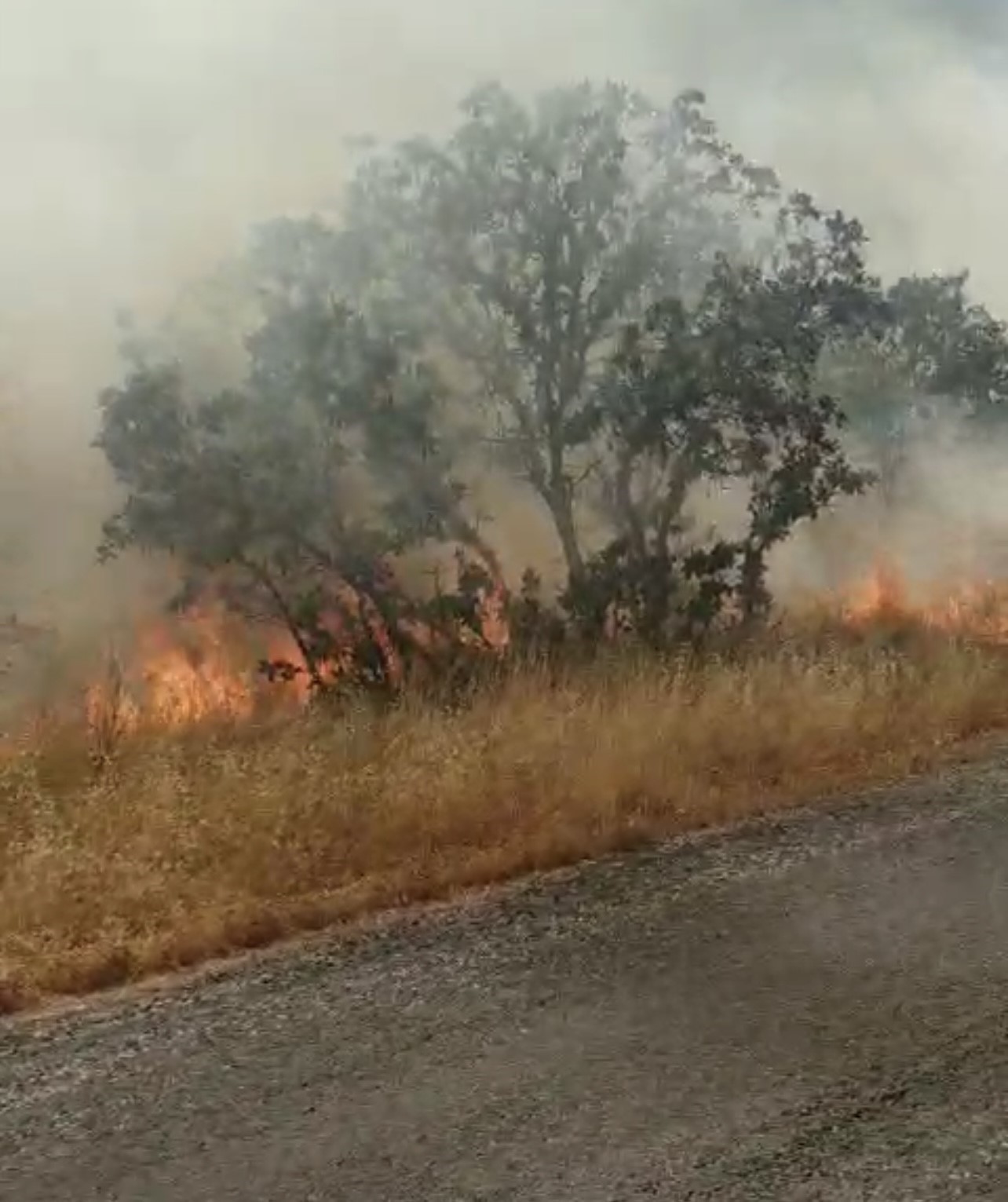 Mardin&rsquo;de iki farklı noktada &ouml;rt&uuml; yangını
