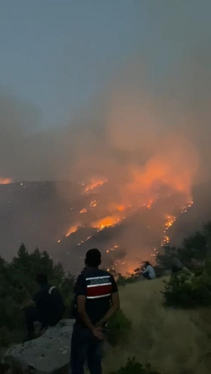 Gerger’deki orman yangını söndürülmeye çalışılıyor
