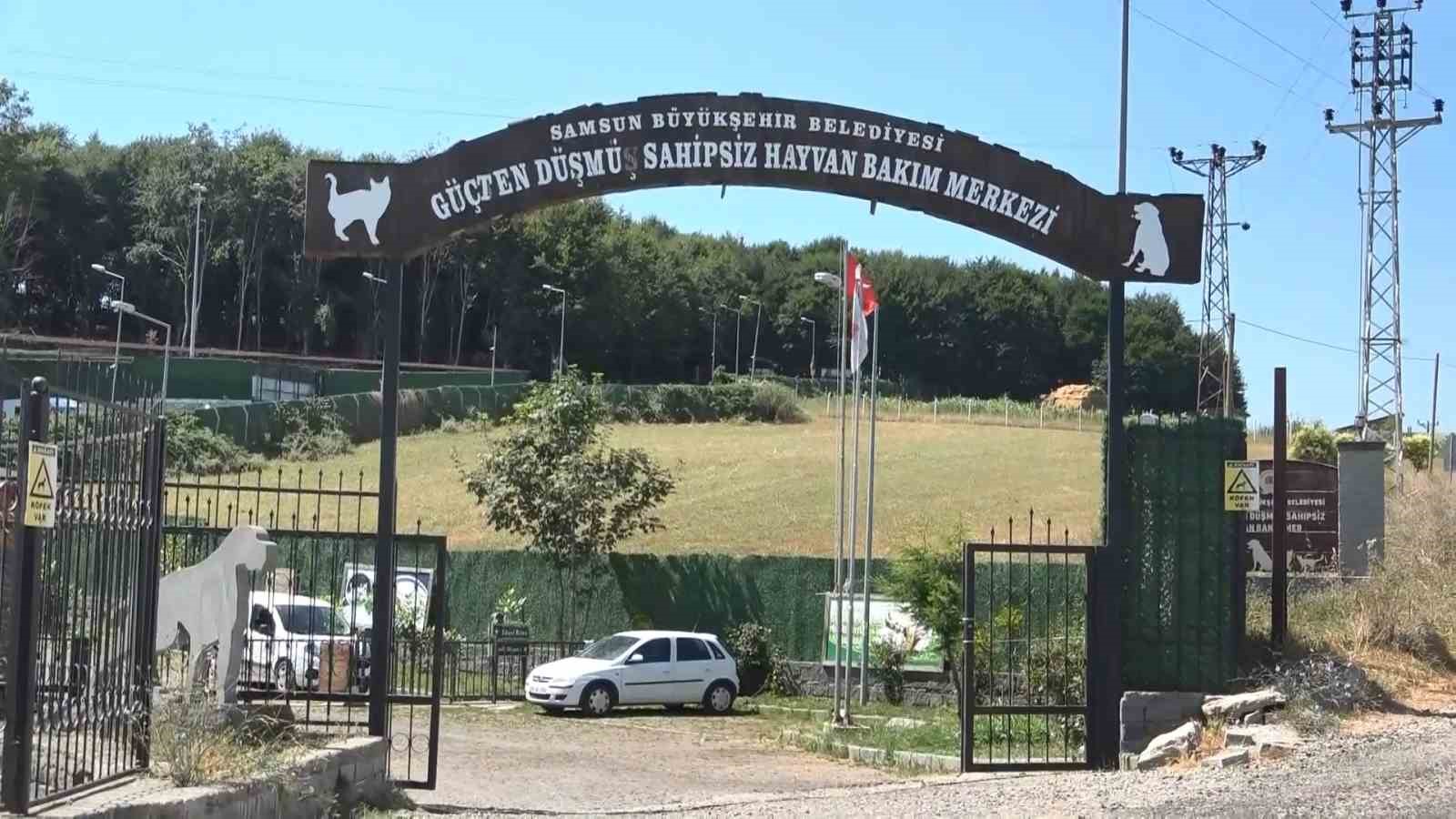 Bu merkezde 20 bin sokak hayvanı kısırlaştırıldı