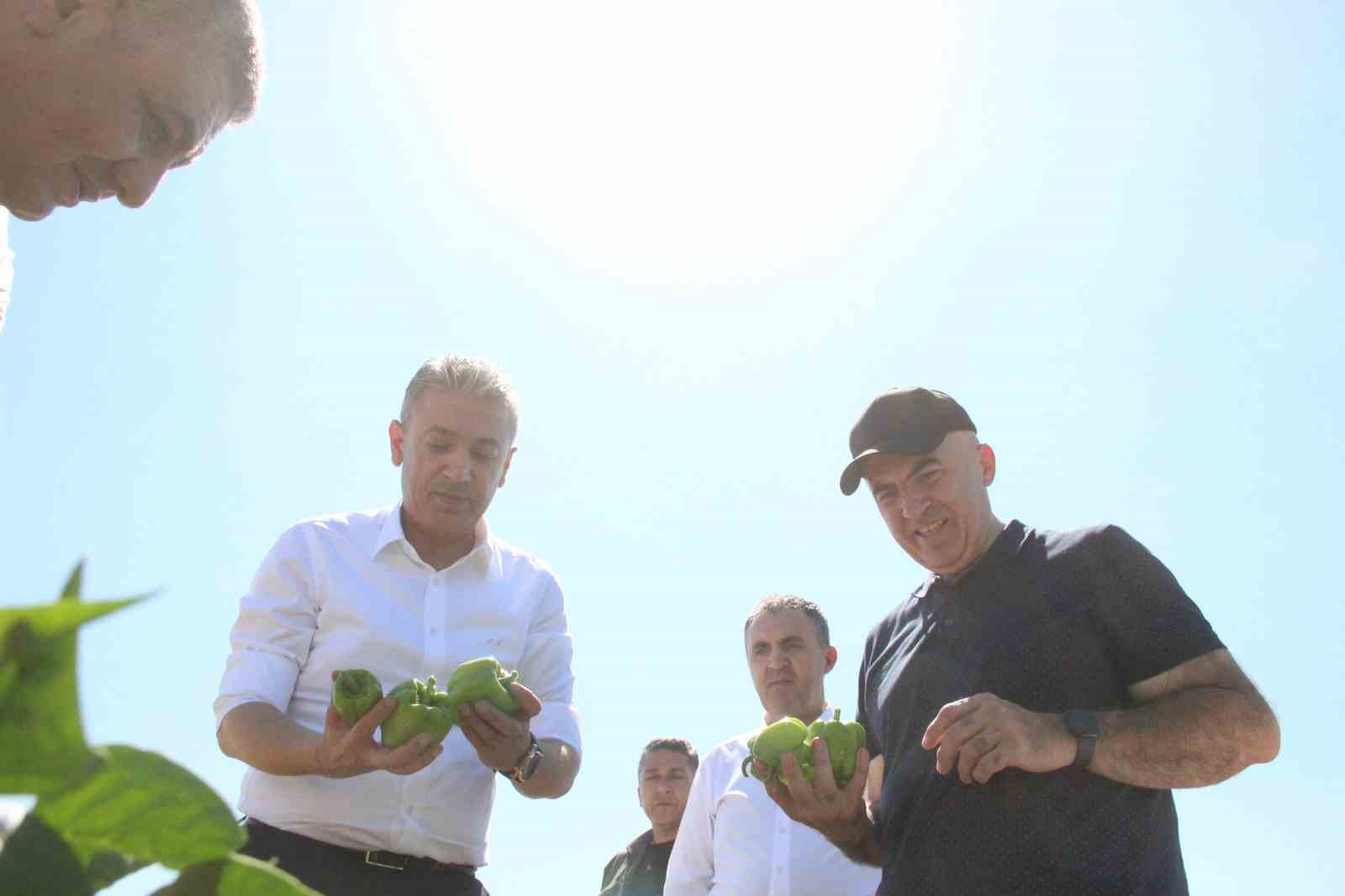 Karaman&rsquo;da sebze &uuml;retimi artıyor
