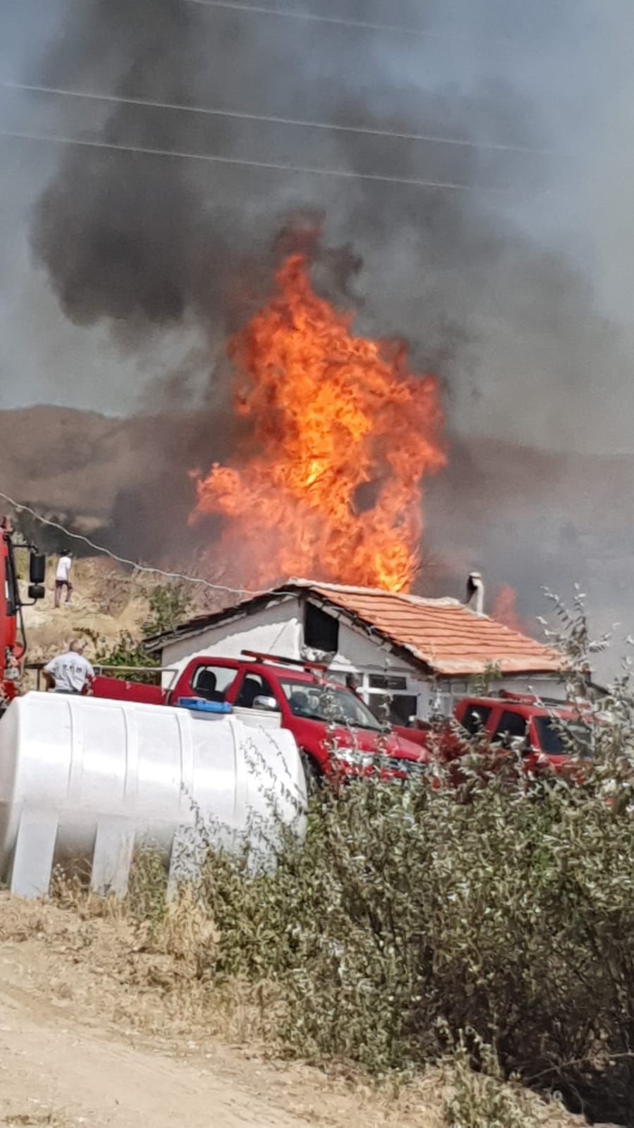 Arazi yangınında arılar telef oldu
