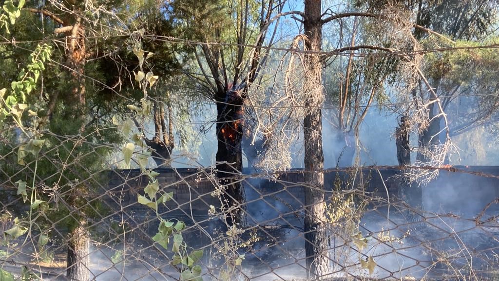 Erzincan&rsquo;da aşırı sıcaklarla birlikte &ouml;rt&uuml; yangınları arttı
