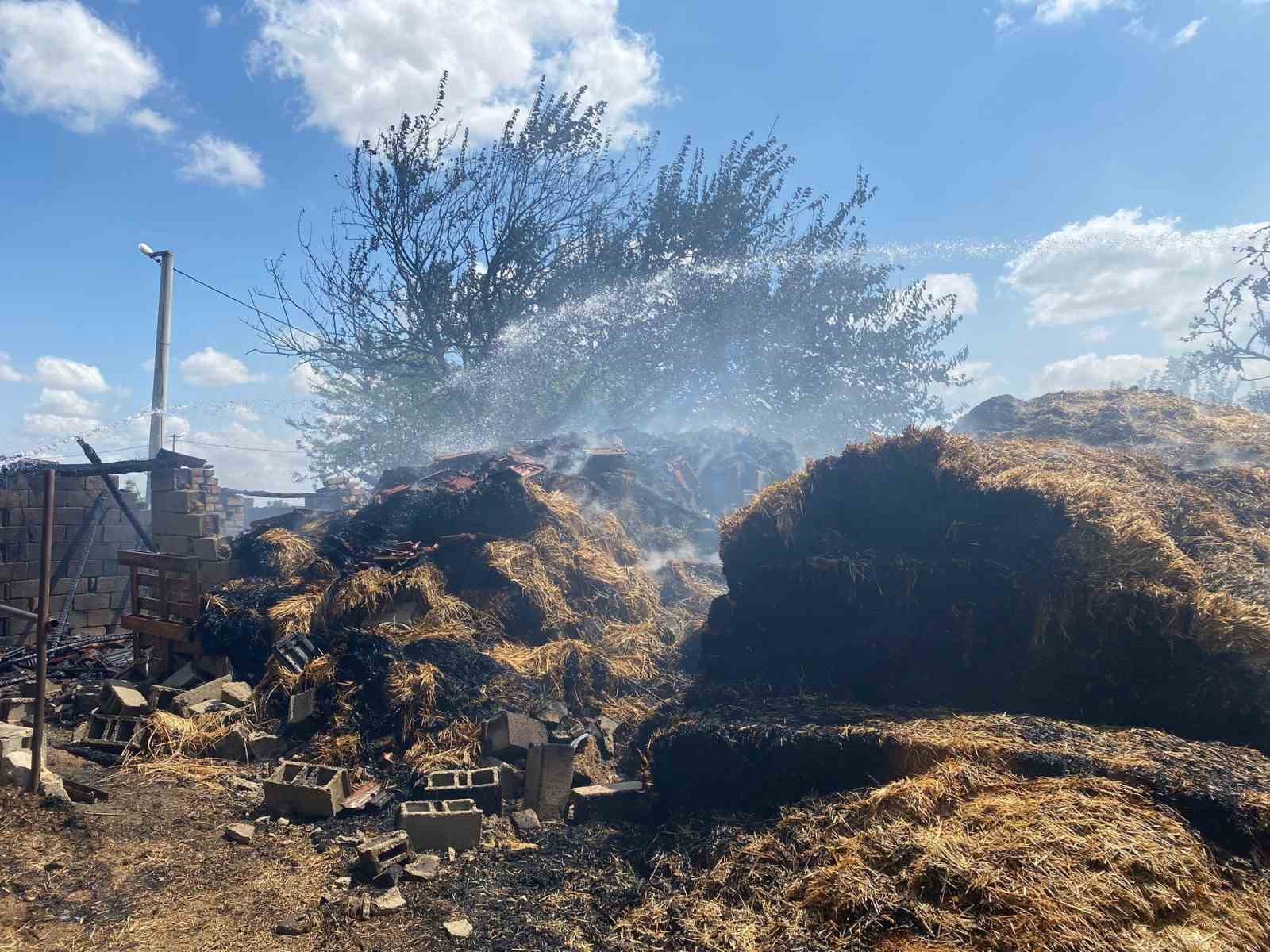 Kırklareli’nde çıkan yangında 800 saman balyası küle döndü