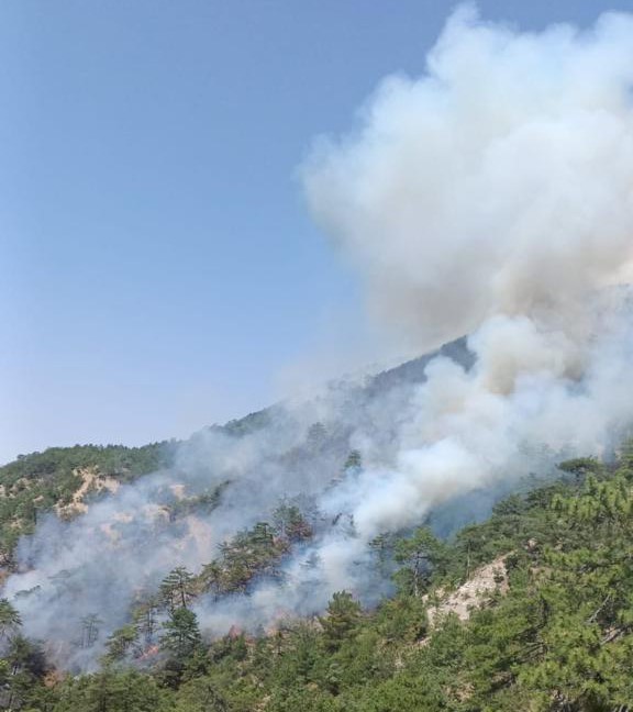 Bolu’daki orman yangına müdahale sürüyor
