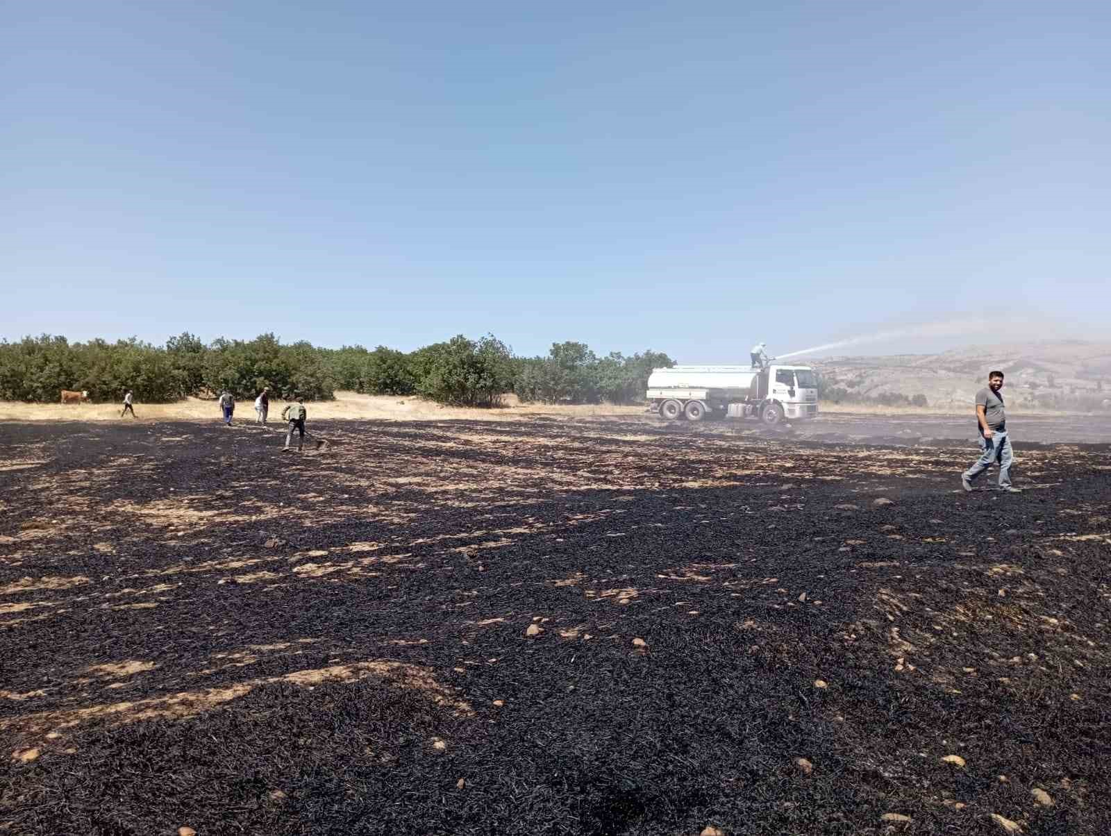 &Ccedil;ıkan anız yangını paniğe sebep oldu
