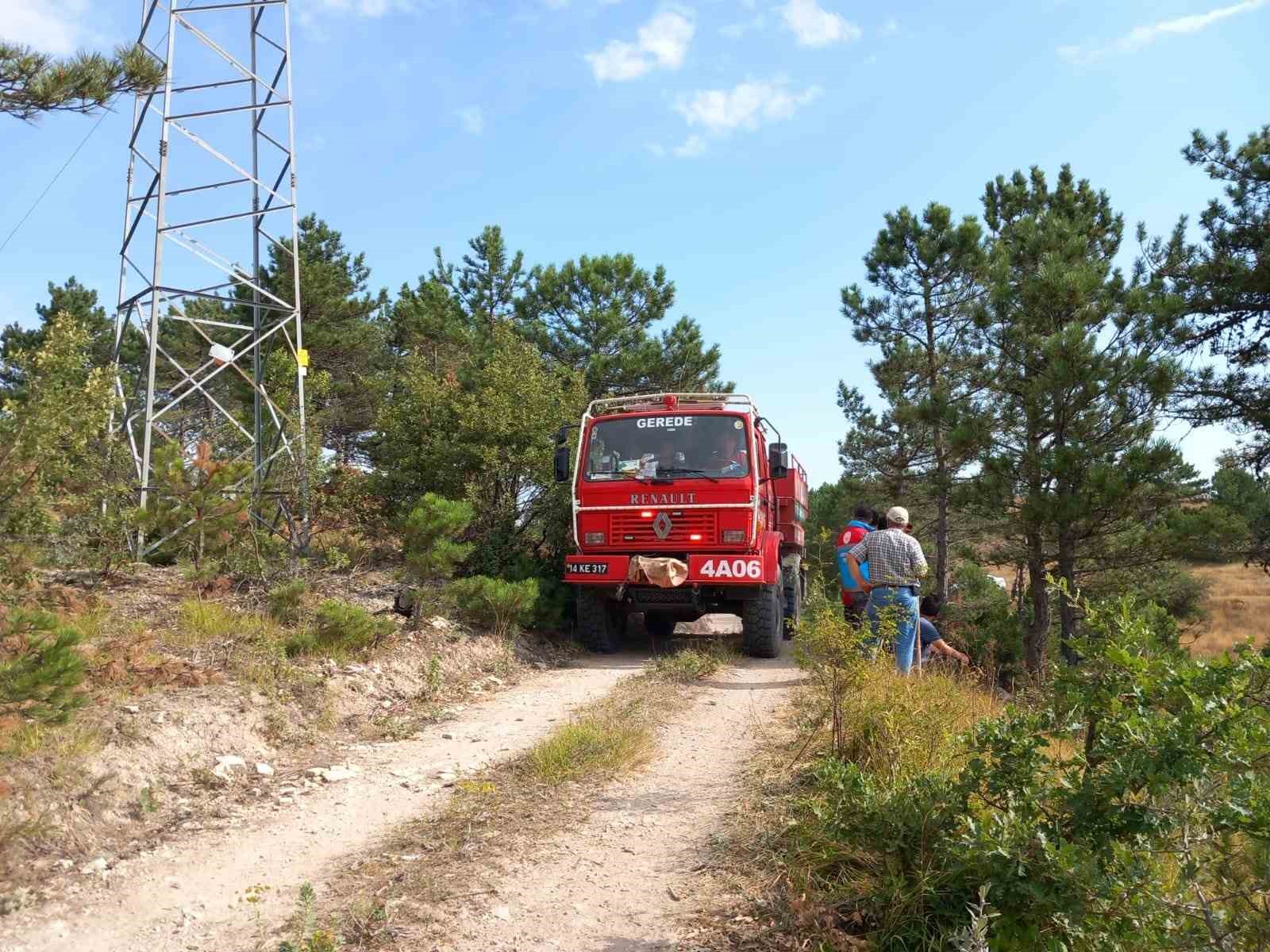 Bolu’da aynı ilçede 2 farklı orman yangını
