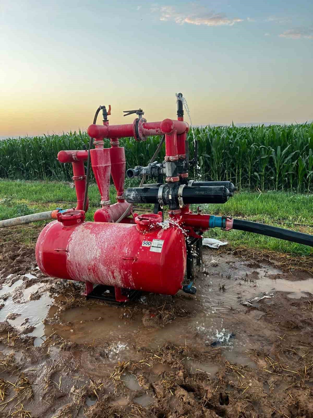 Mardin&rsquo;de suya karışan zirai ila&ccedil; 85 hayvanın telef olmasına neden oldu
