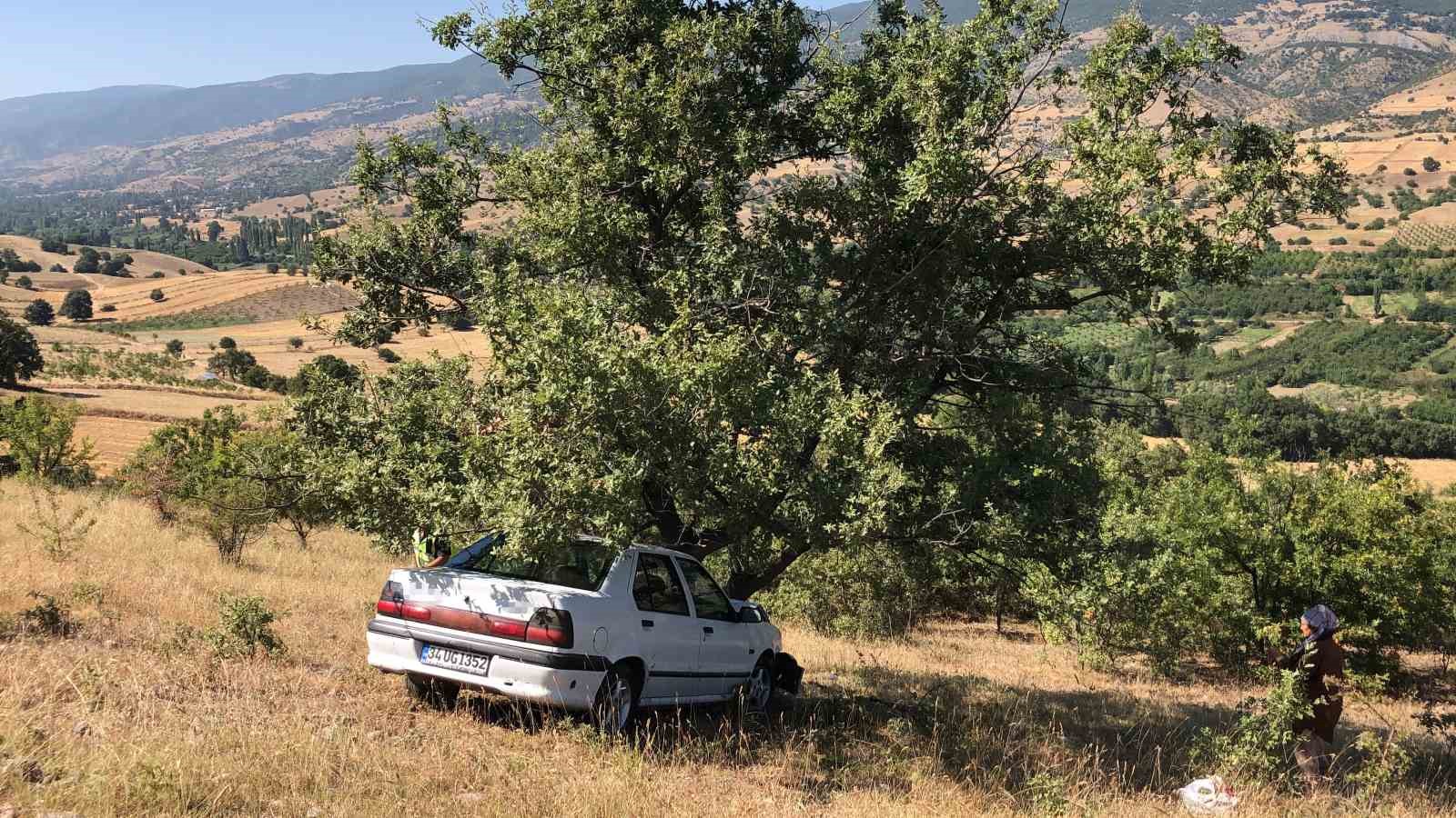 Amasya’da uçuruma uçan otomobili ağaç kurtardı: 1 yaralı