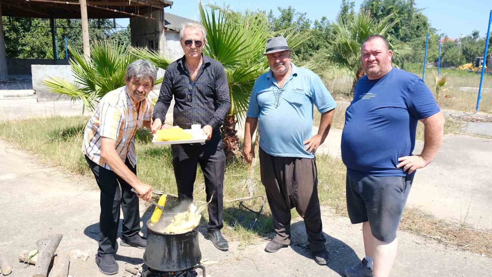 Türkiye’nin meşhur Mardar mısırında hasat başladı