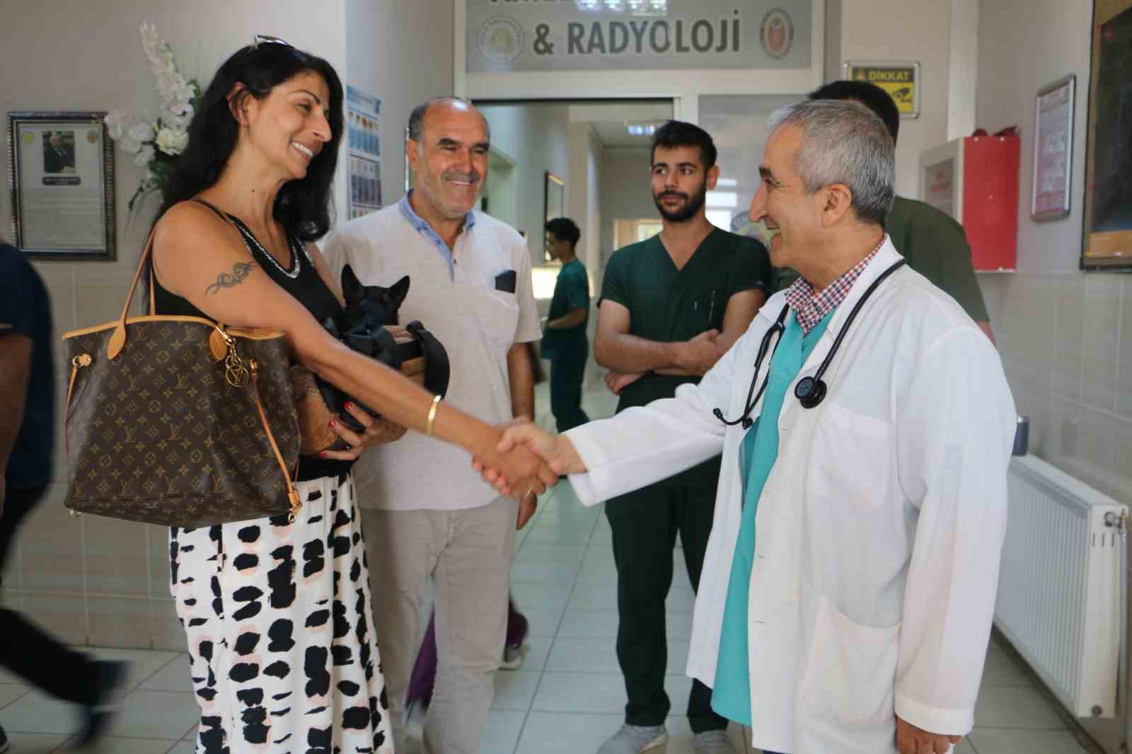 Almanya’da tedavi edilemeyen ’Rocky’ isimli köpek şifayı Diyarbakır’da buldu
