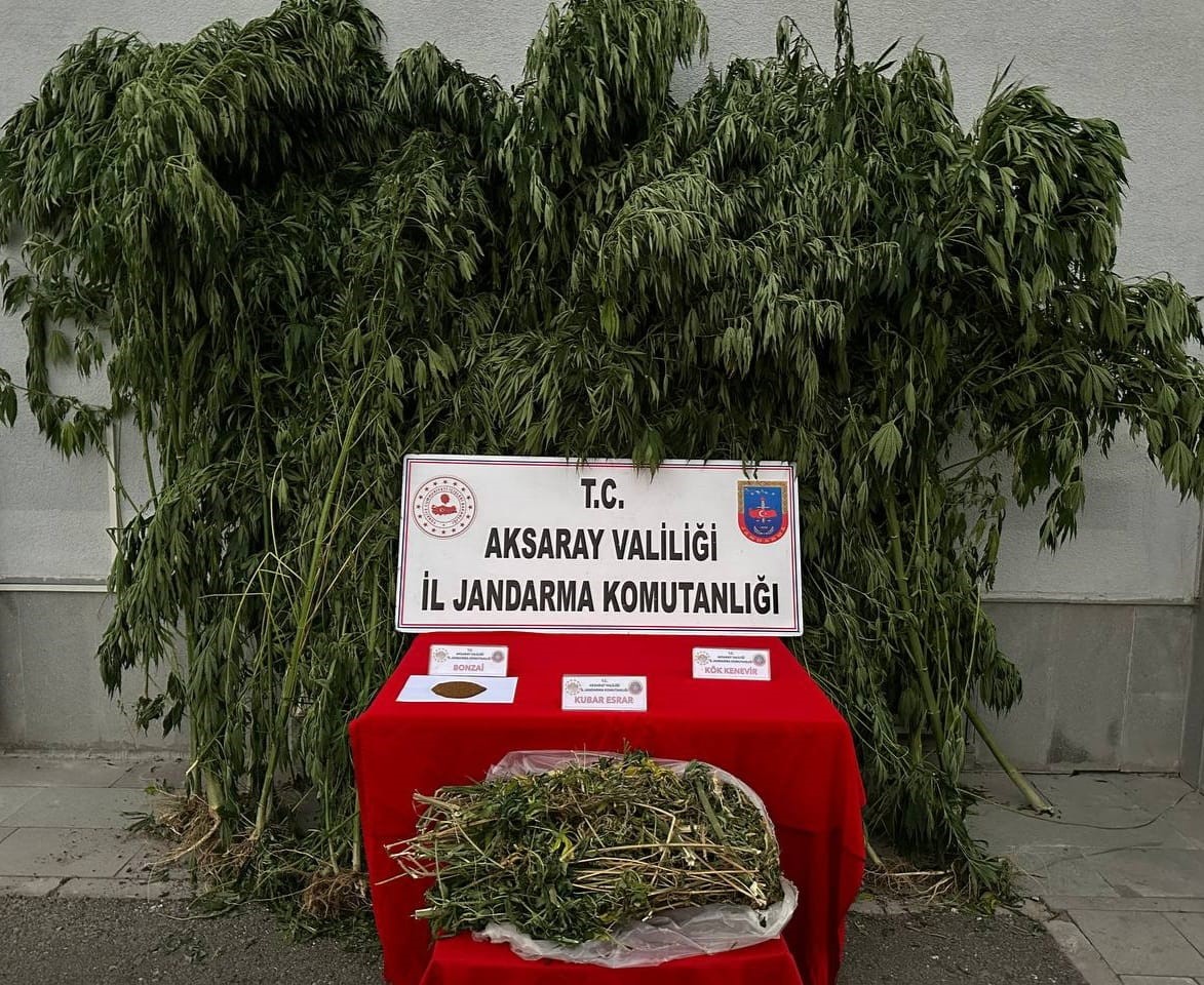 Jandarmadan uyuşturucu operasyonu: 1 tutuklama