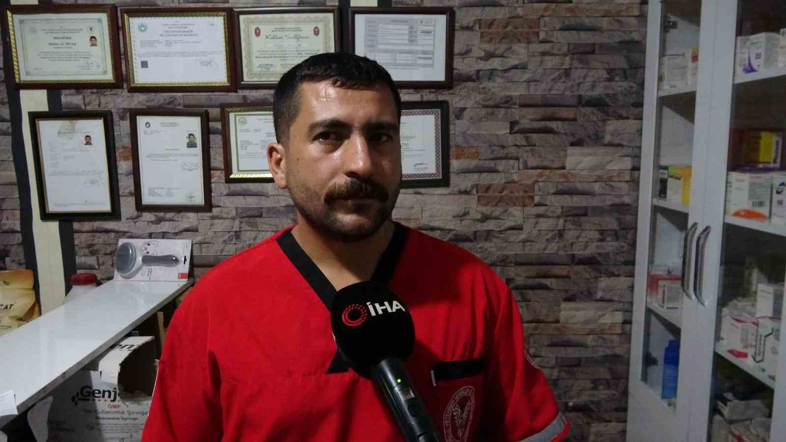 Veteriner hekim uyardı: "Nemrut&rsquo;un ayılarından uzak durun"
