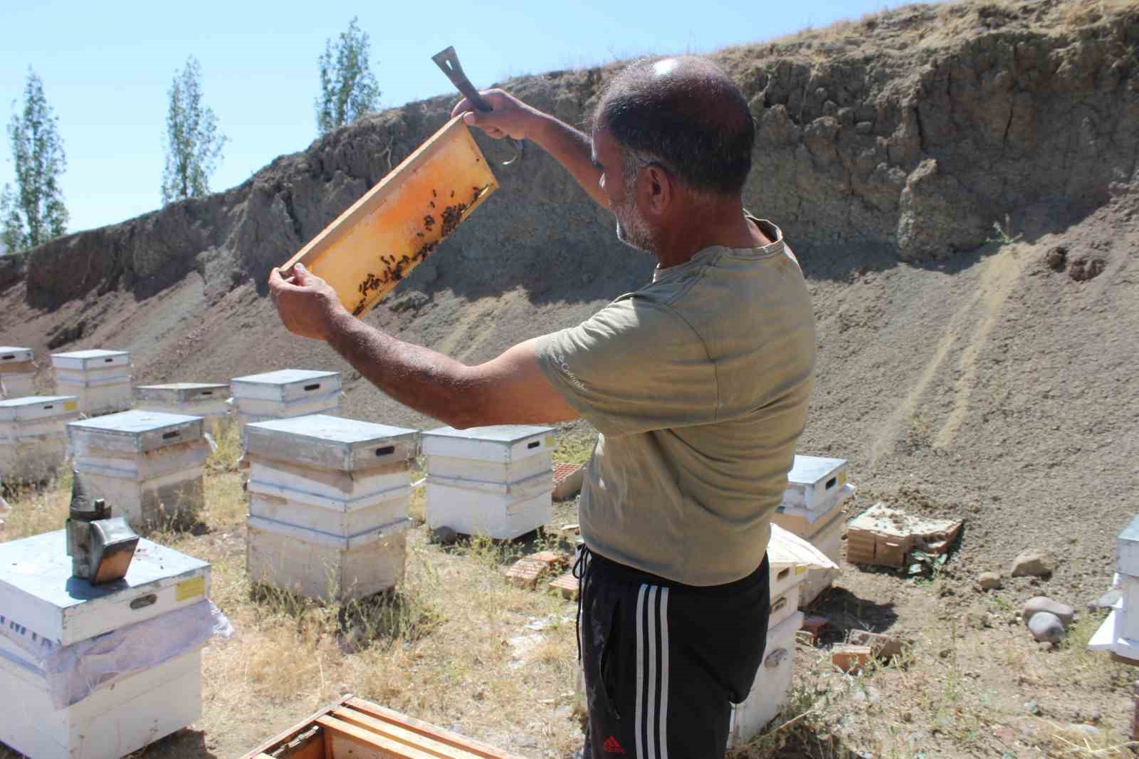 Iğdır’da bal hasadında bu yıl istenilen randıman alınamadı