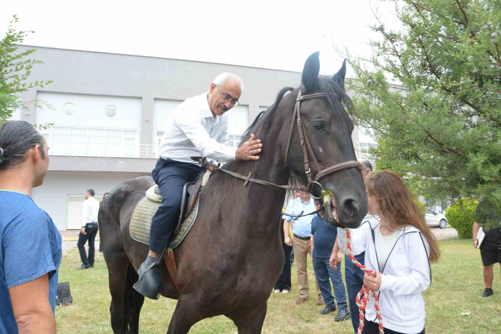 Cins atlar embriyo transferi için Balıkesir’de
