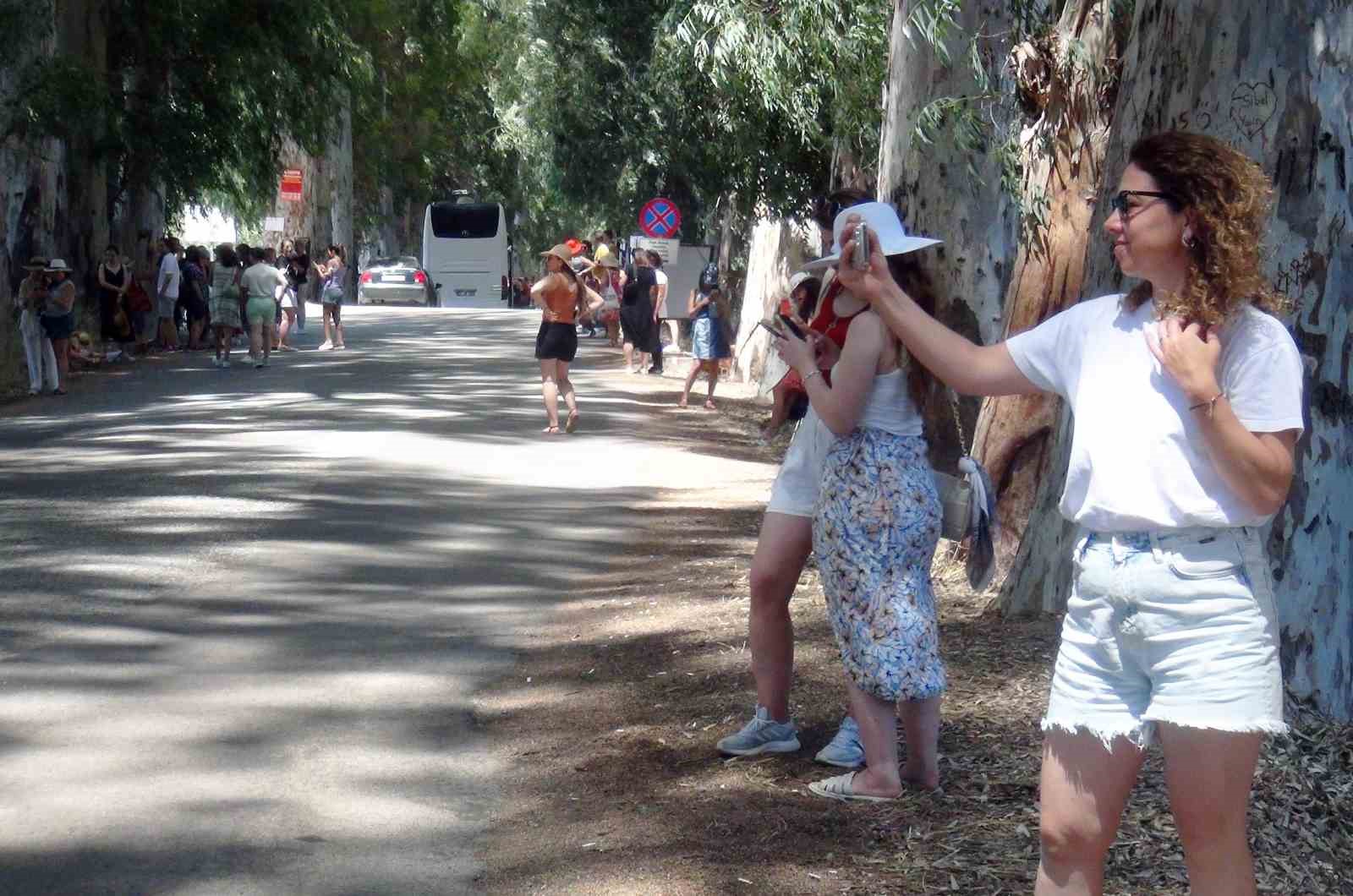Sevgi yolunun okaliptüs ağaçları ’ilanı aşk tahtası’na döndü