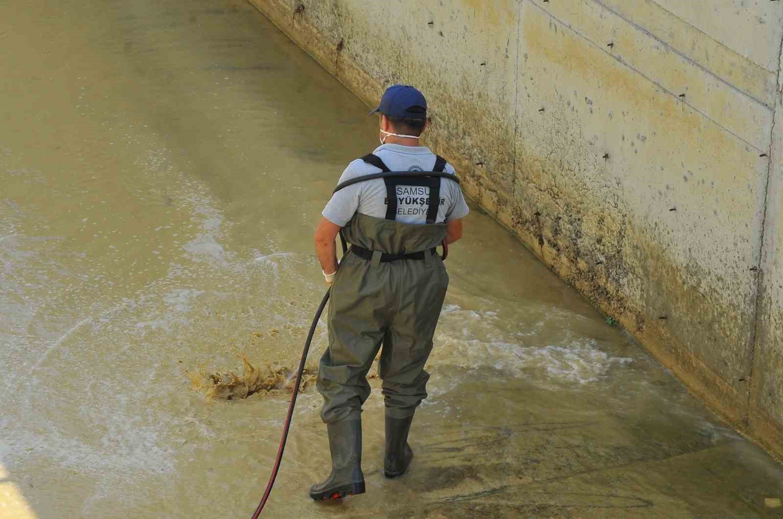 Samsun'da vektörlerle mücadele