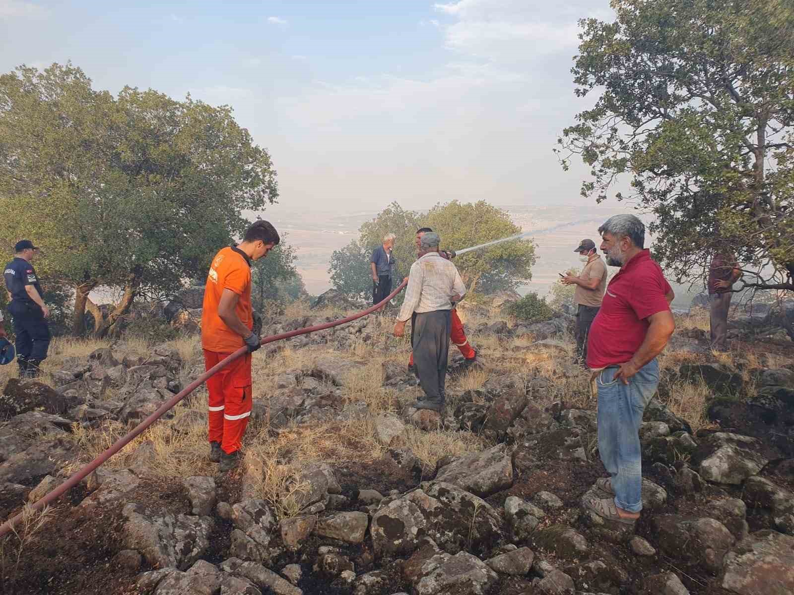 Gaziantep’te düşen yıldırım ormanlık alanı yaktı