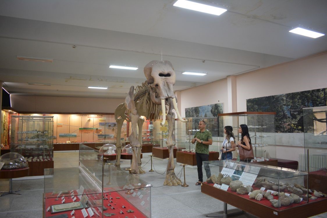 Ege’nin bilim vitrini: Tabiat Tarihi Koleksiyonu