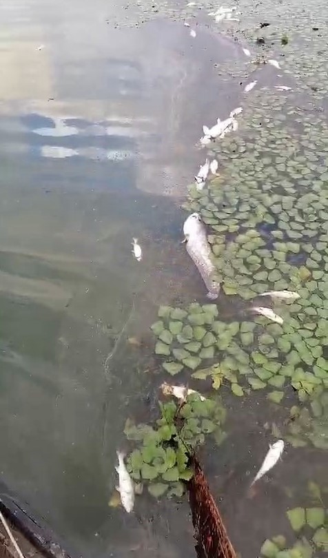 O g&ouml;l&uuml;n seviyesindeki d&uuml;ş&uuml;ş tedirgin ediyor
