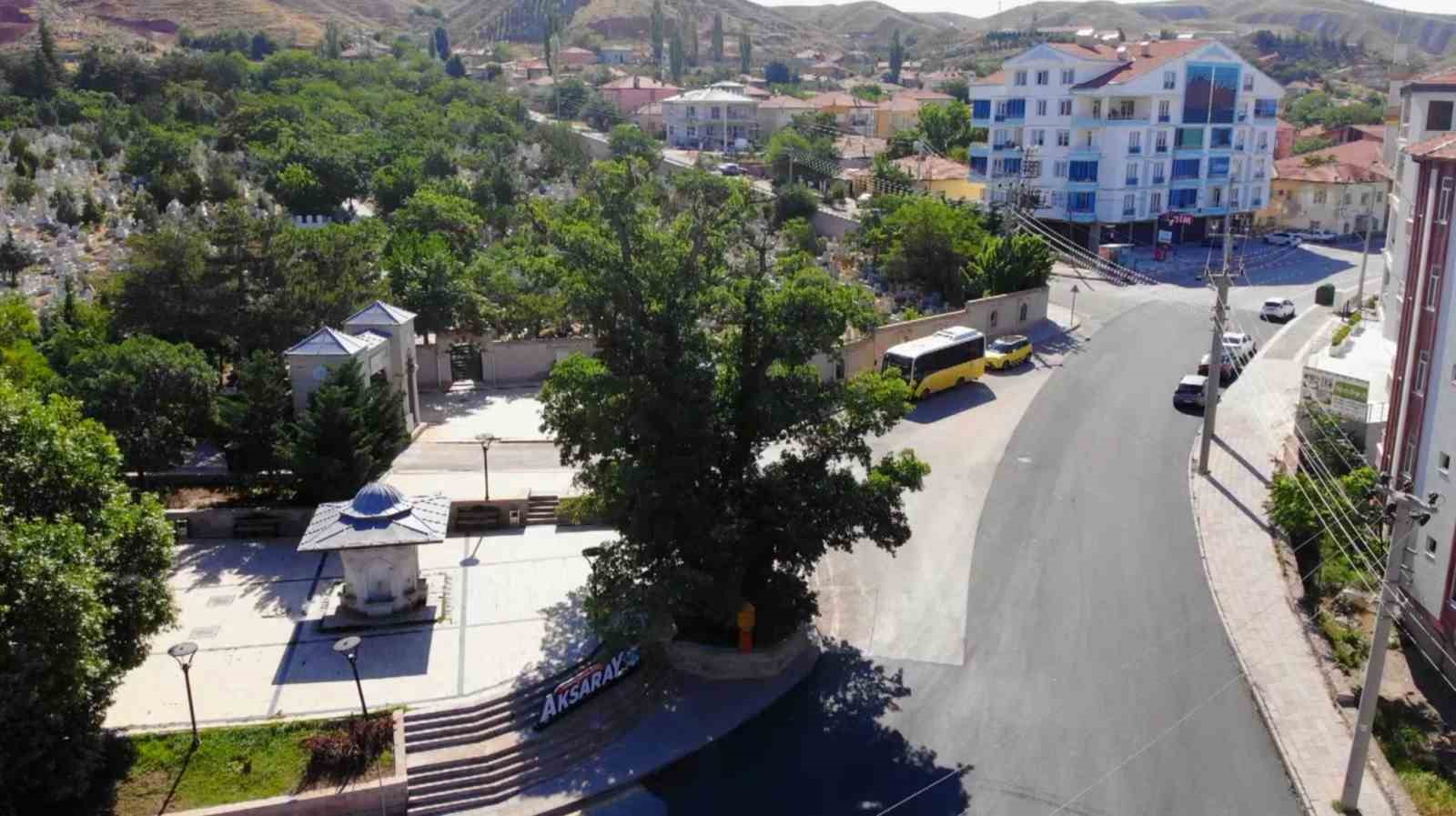 Aksaray’daki 700 yıllık ‘Kanlı Pelit’ kanlı Moğol baskınının tek canlı şahidi