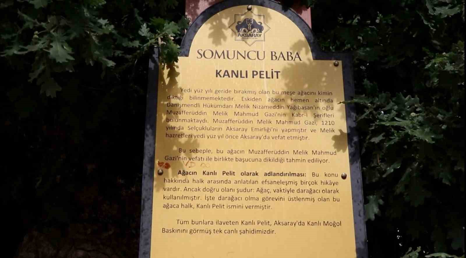 Aksaray&rsquo;daki 700 yıllık &lsquo;Kanlı Pelit&rsquo; kanlı Moğol baskınının tek canlı şahidi
