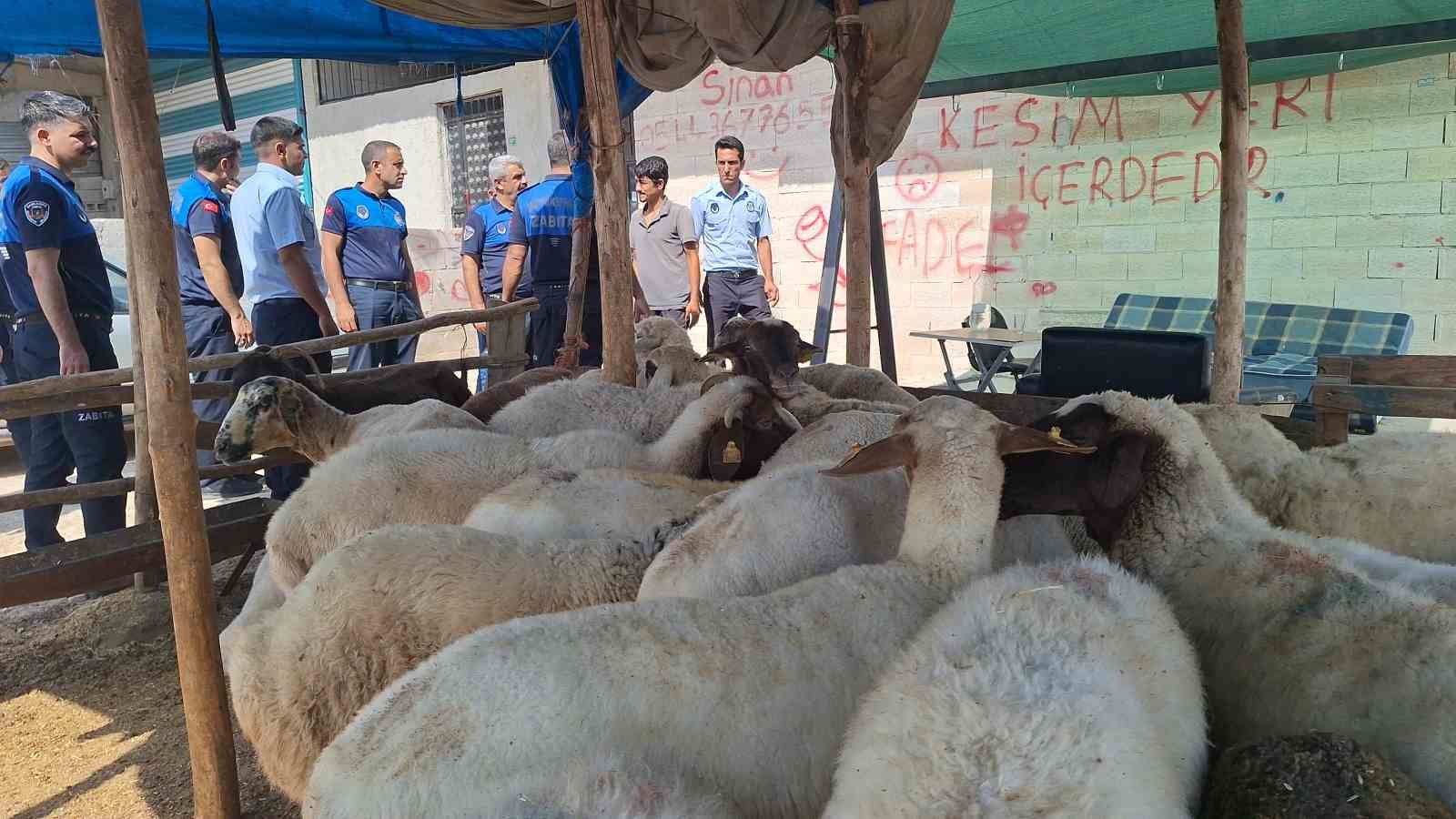 Şanlıurfa zabıtadan kaçak kesim uyarısı