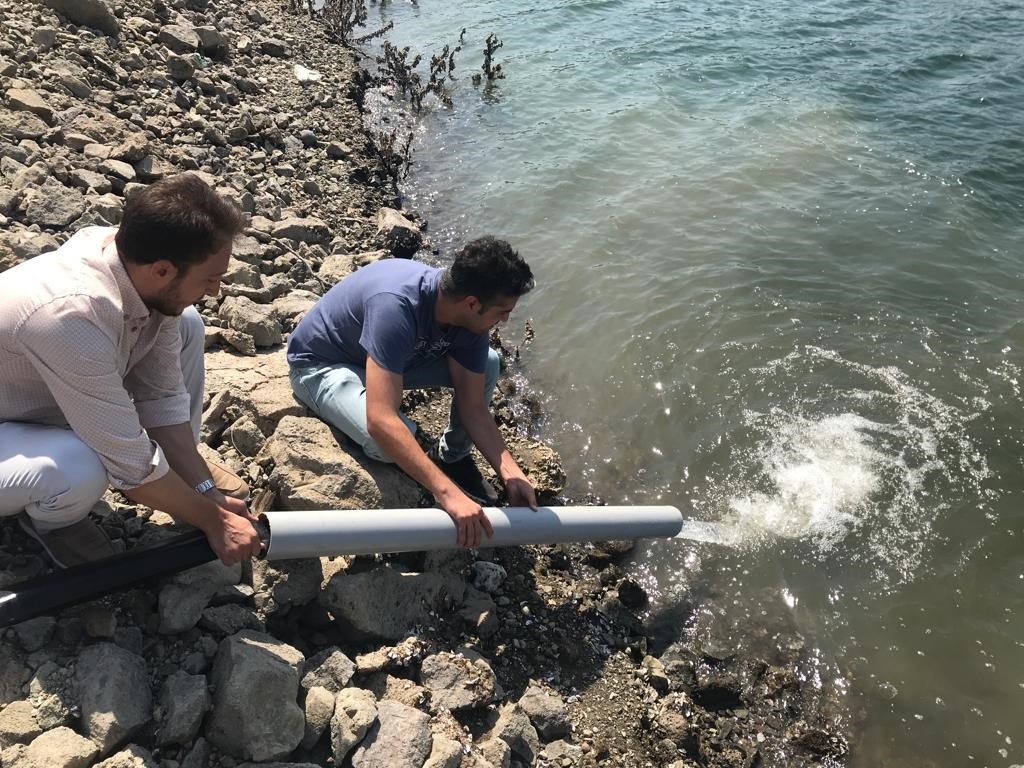 Çanakkale’de 484 bin sazan göl ve göletlere salındı