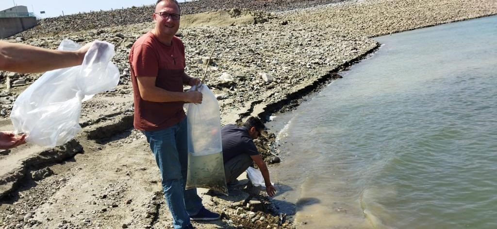 &Ccedil;anakkale&rsquo;de 484 bin sazan g&ouml;l ve g&ouml;letlere salındı
