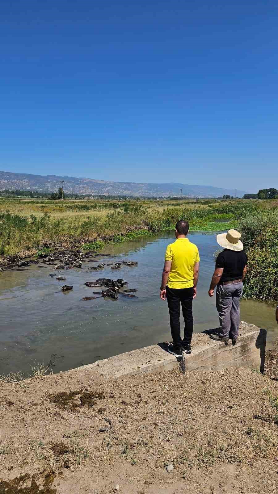 MHP Tokat Milletvekili Bulut: &ldquo;Geleceğimiz a&ccedil;ısından kırsaldaki &uuml;retim &ouml;nemlidir&rdquo;
