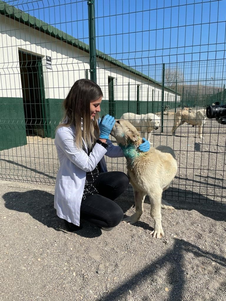 Başkan Ercan Sincan&rsquo;a y&ouml;nelik yatırımları anlattı
