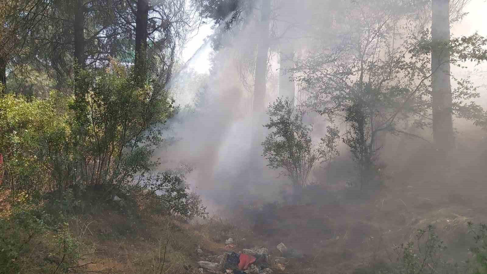 Yol kenarına atılan sigara izmariti az kalsın ormanı yakıyordu